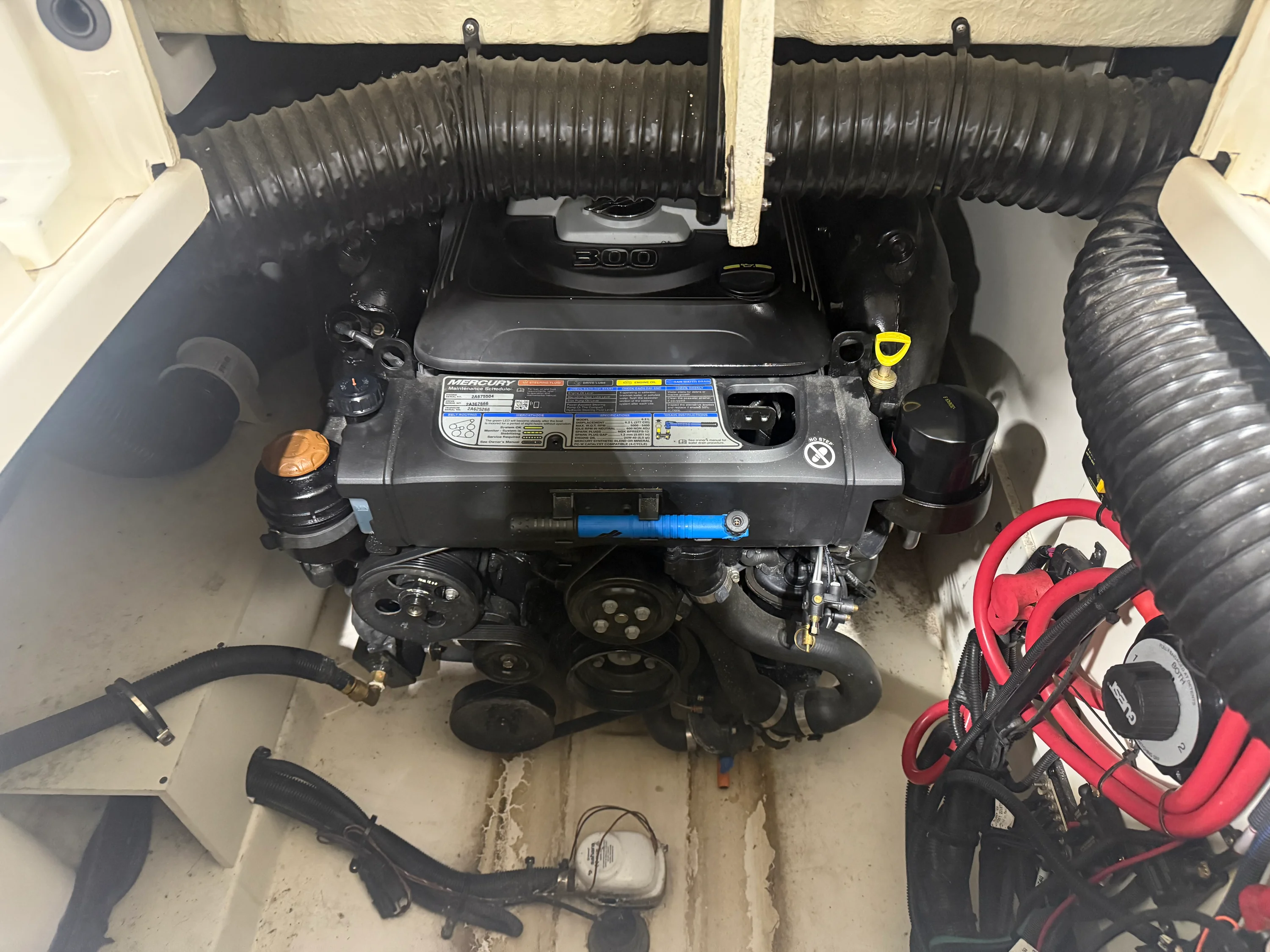 2020 Sea Ray 270 SDX Image Thumbnail #14