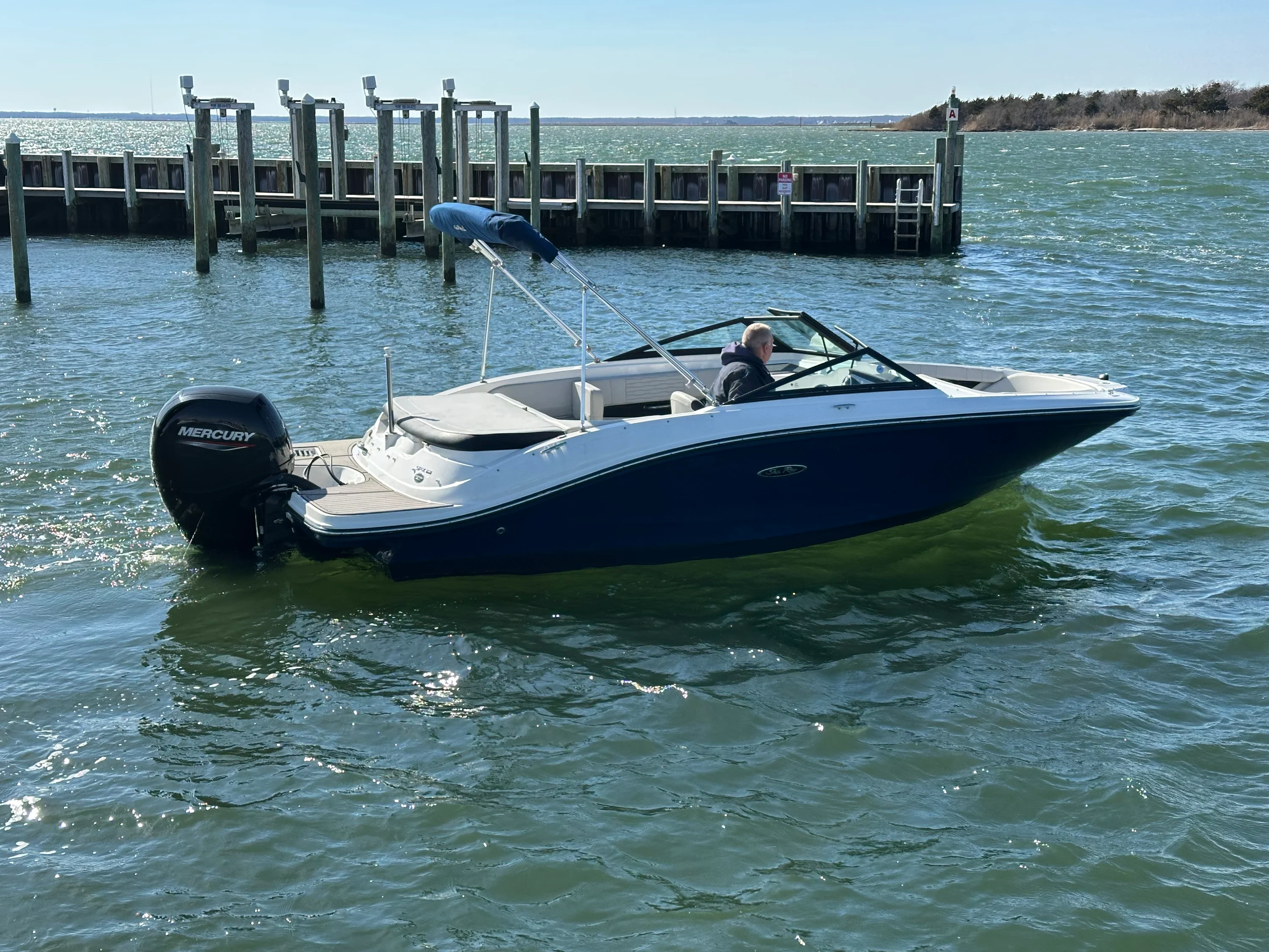 2022 Sea Ray SPX 190 OB Image Thumbnail #16