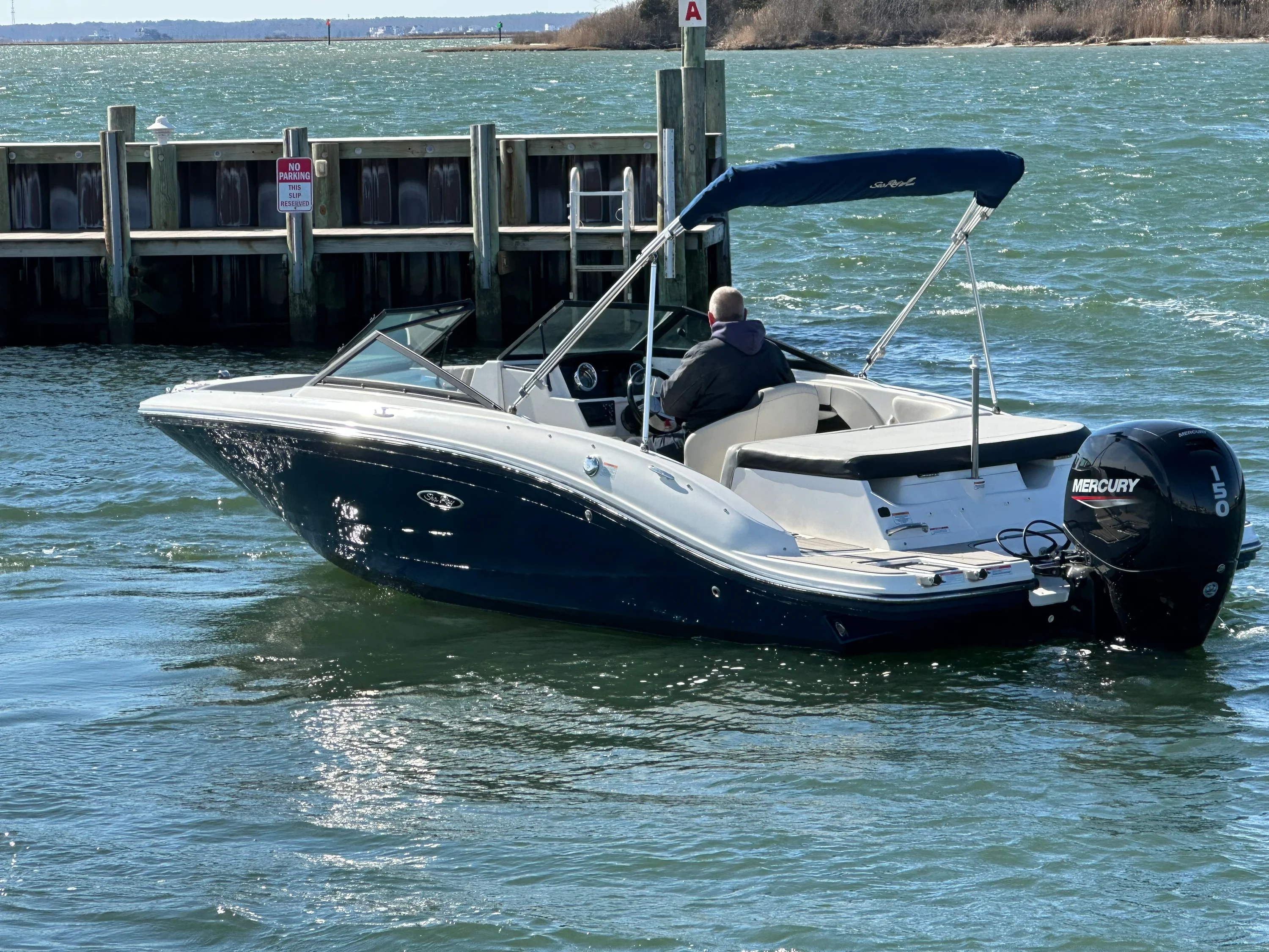 2022 Sea Ray SPX 190 OB Image Thumbnail #8