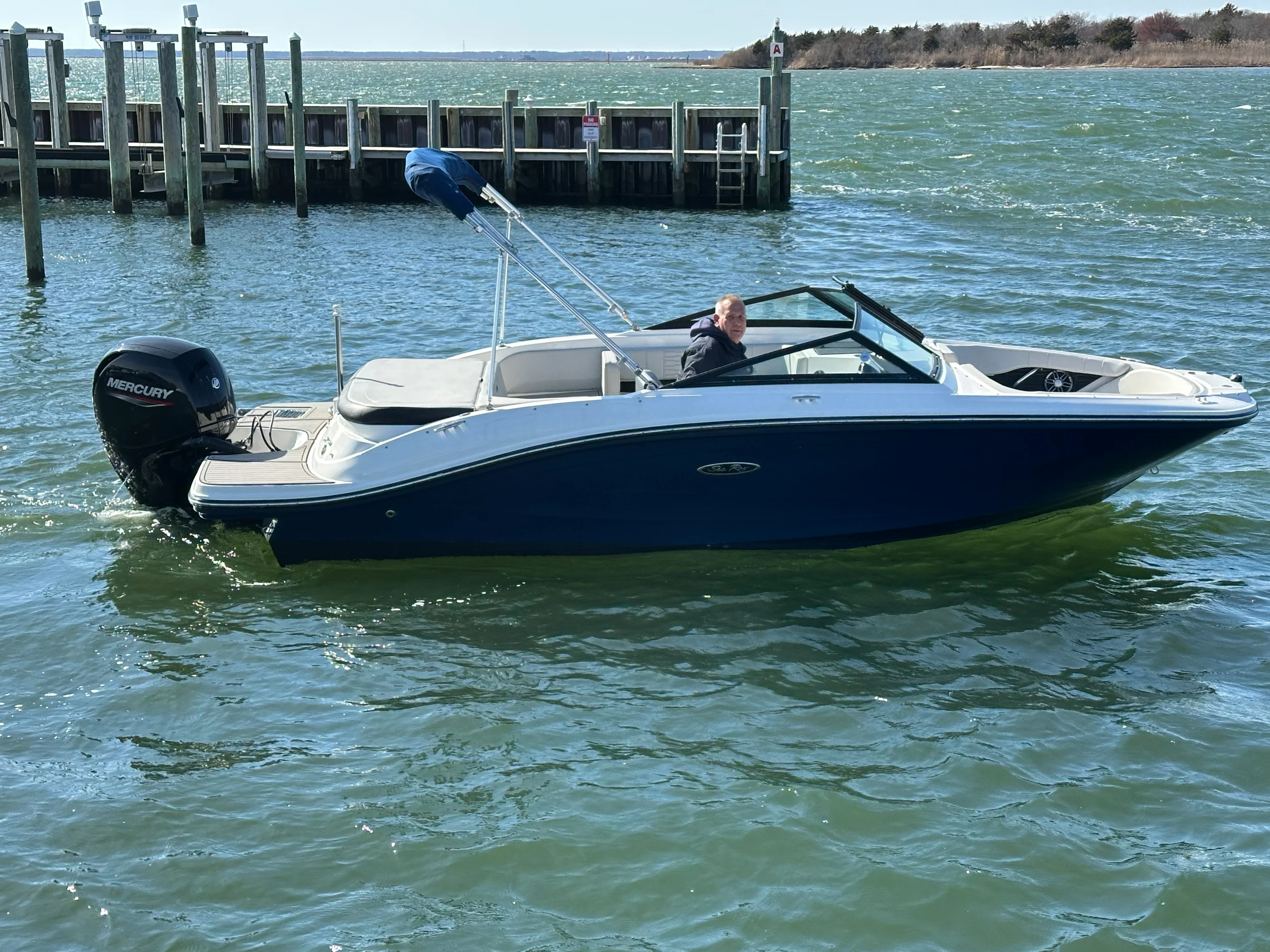 2022 Sea Ray SPX 190 OB Image Thumbnail #17