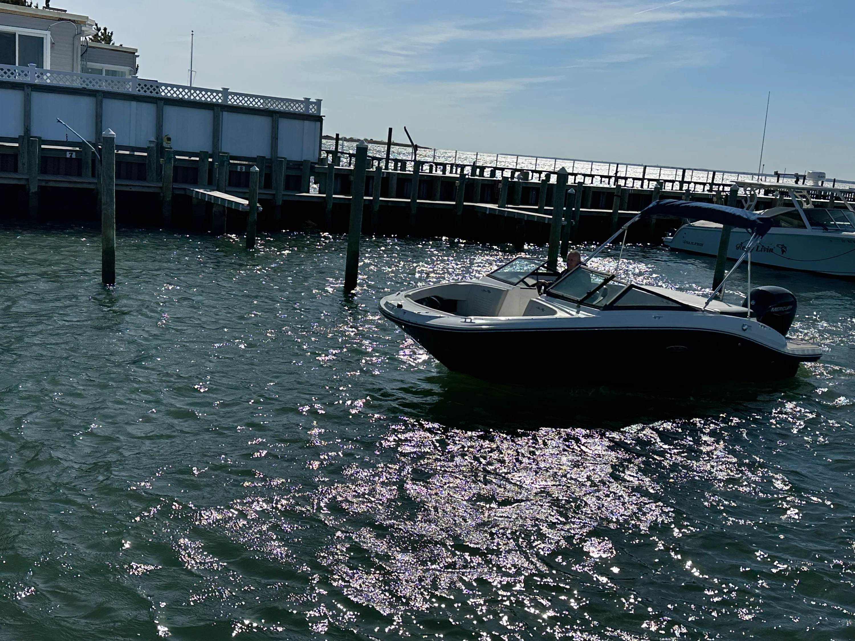 2022 Sea Ray SPX 190 OB Image Thumbnail #55