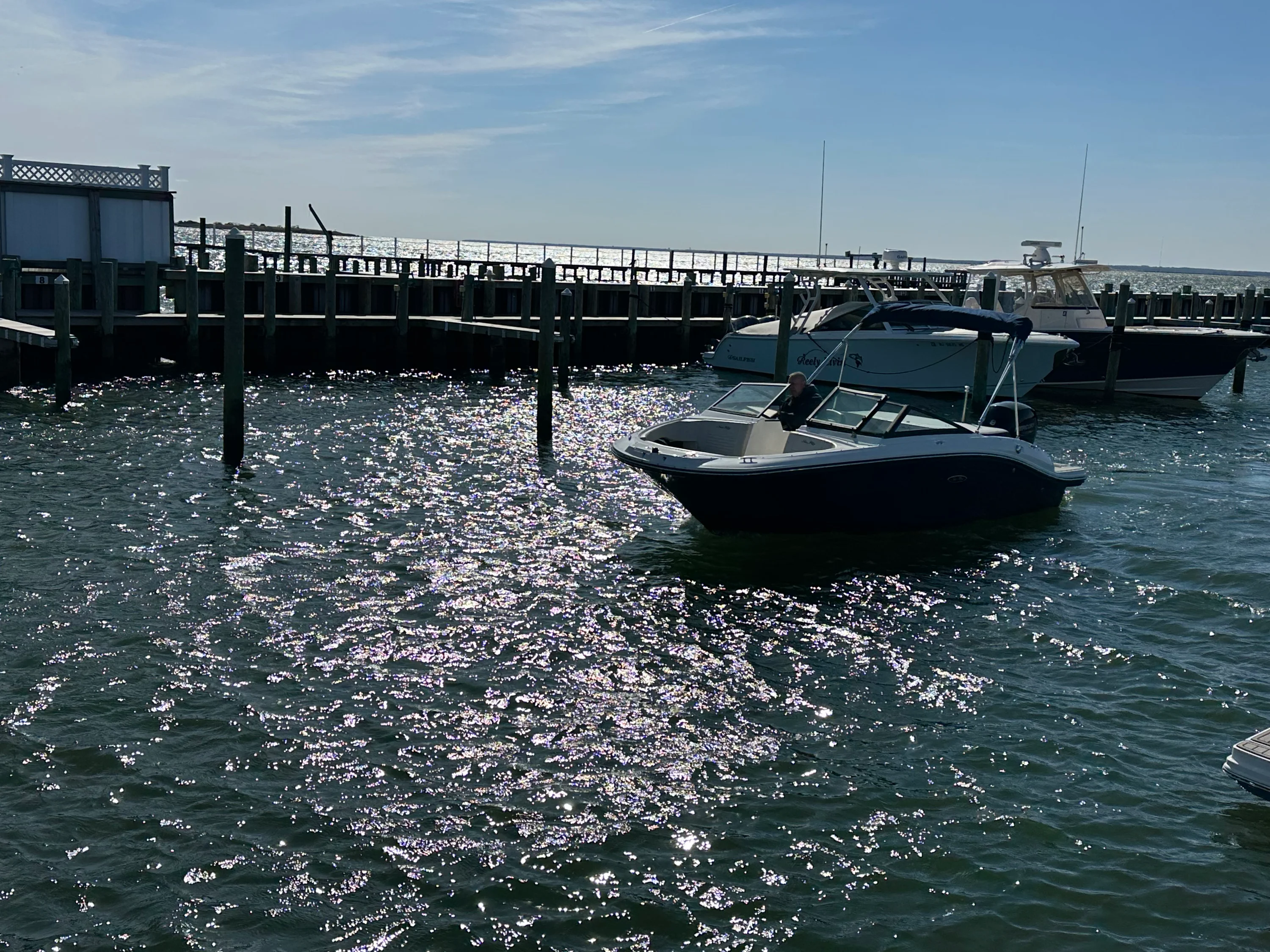 2022 Sea Ray SPX 190 OB Image Thumbnail #54