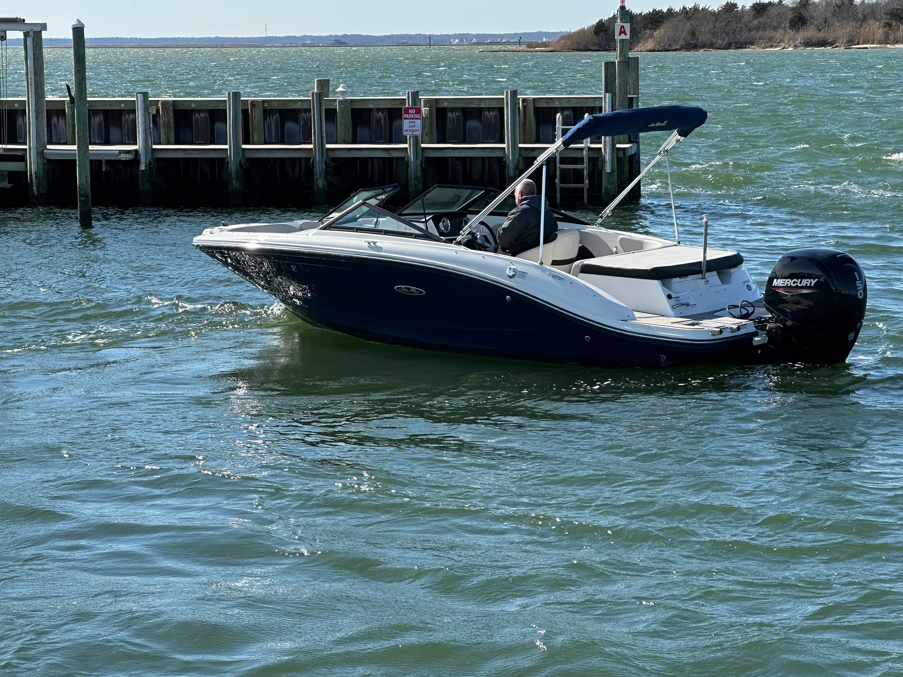 2022 Sea Ray SPX 190 OB Image Thumbnail #7