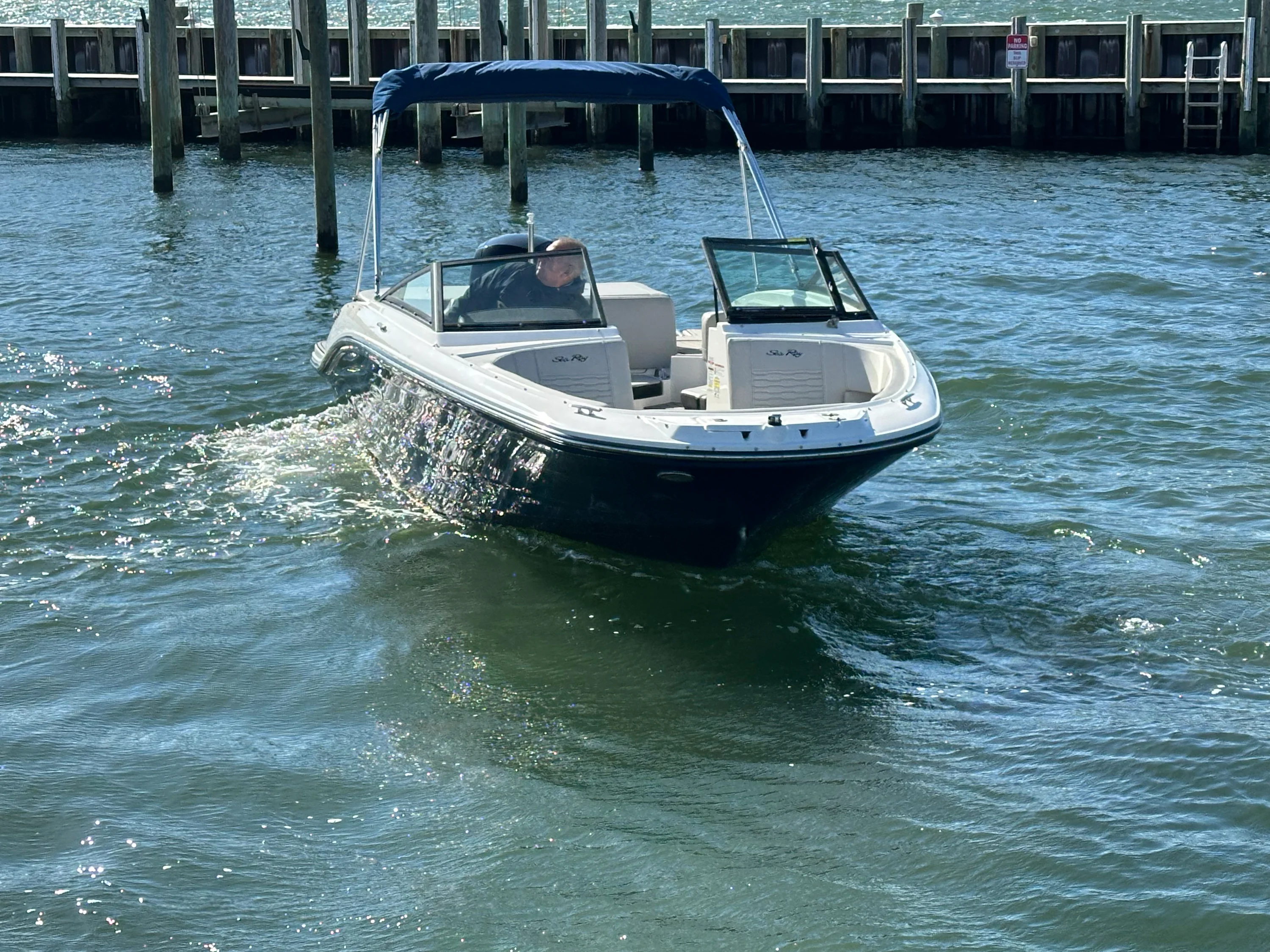 2022 Sea Ray SPX 190 OB Image Thumbnail #20