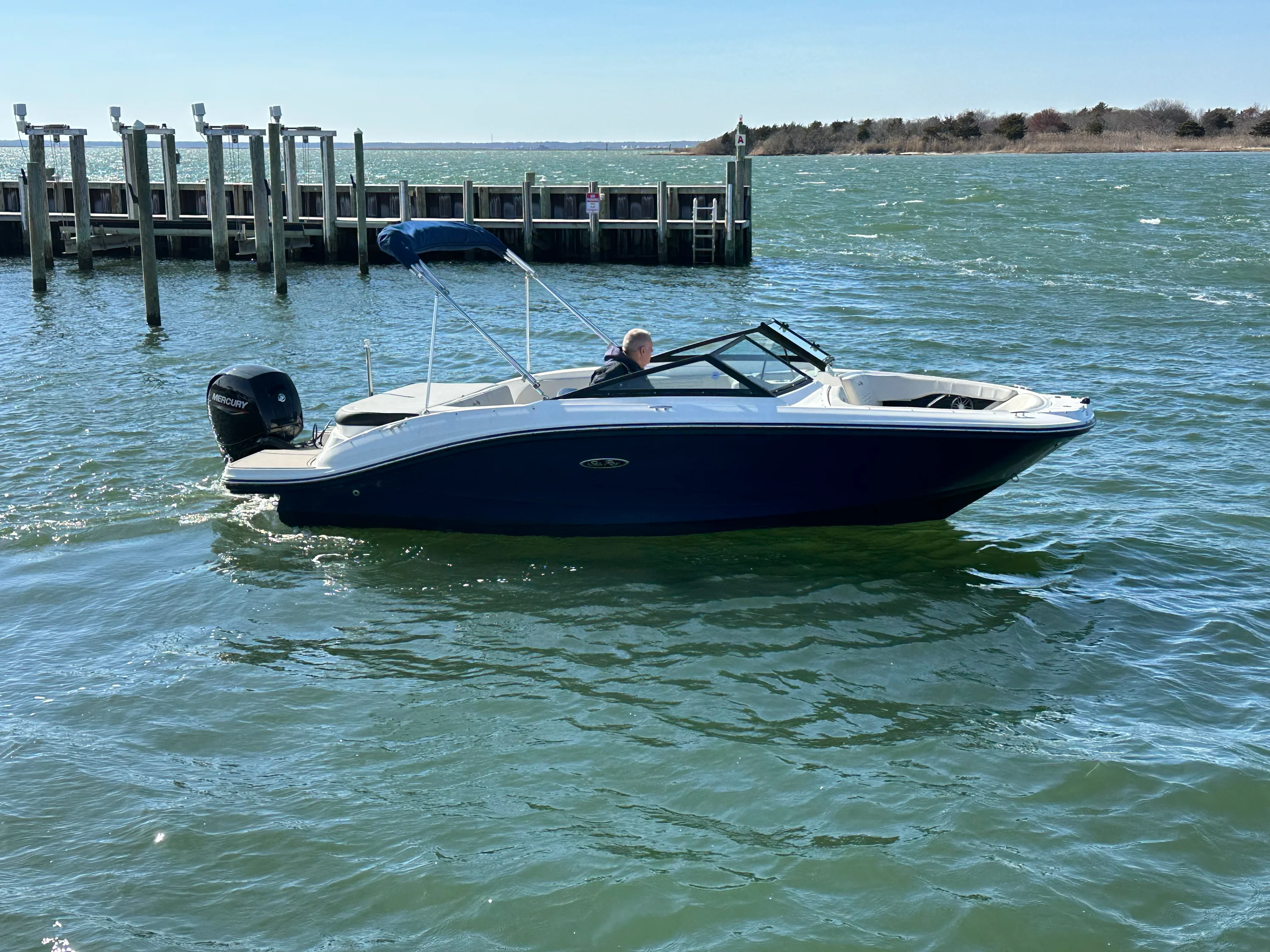 2022 Sea Ray SPX 190 OB Image Thumbnail #0