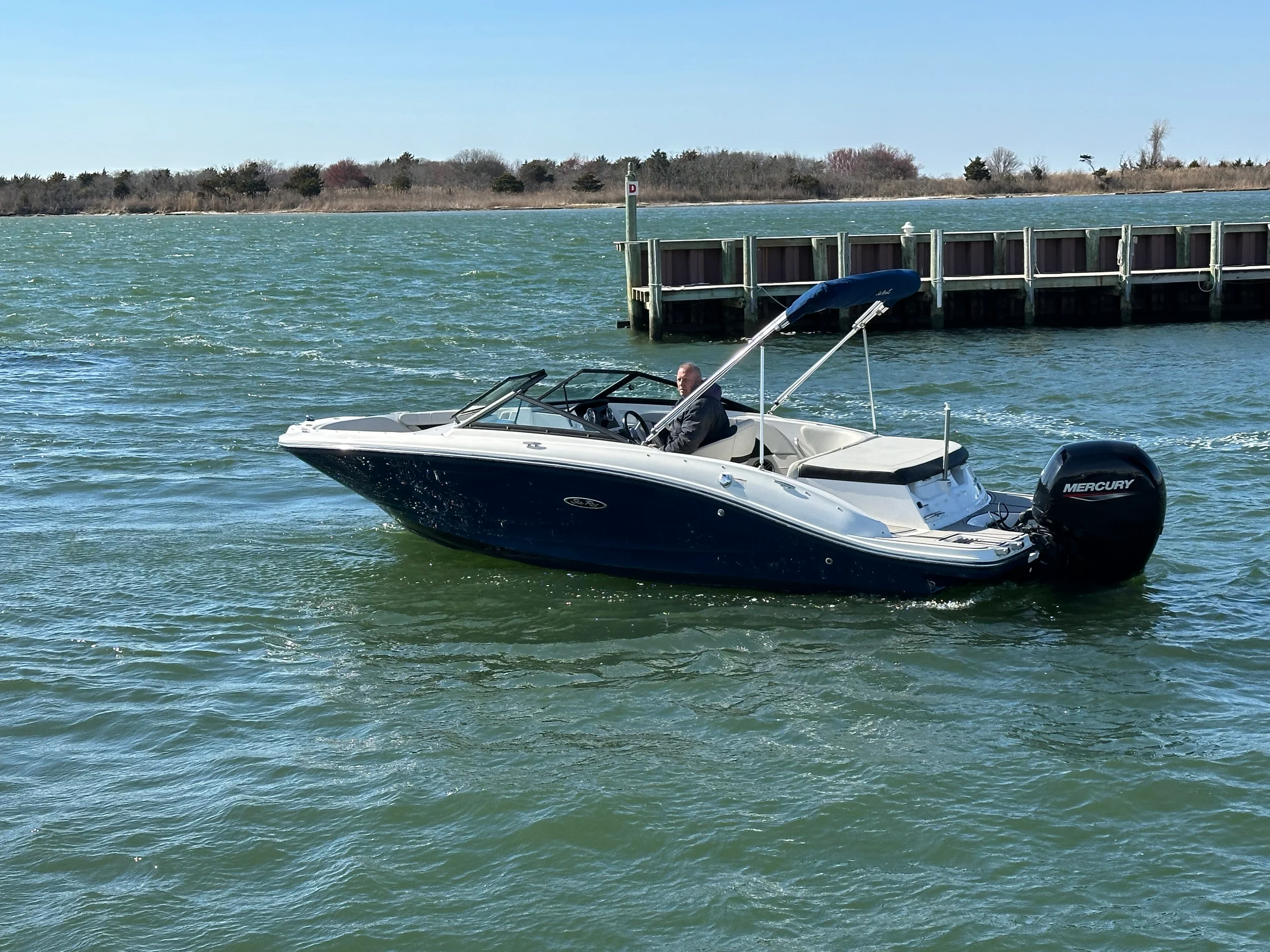 2022 Sea Ray SPX 190 OB Image Thumbnail #4