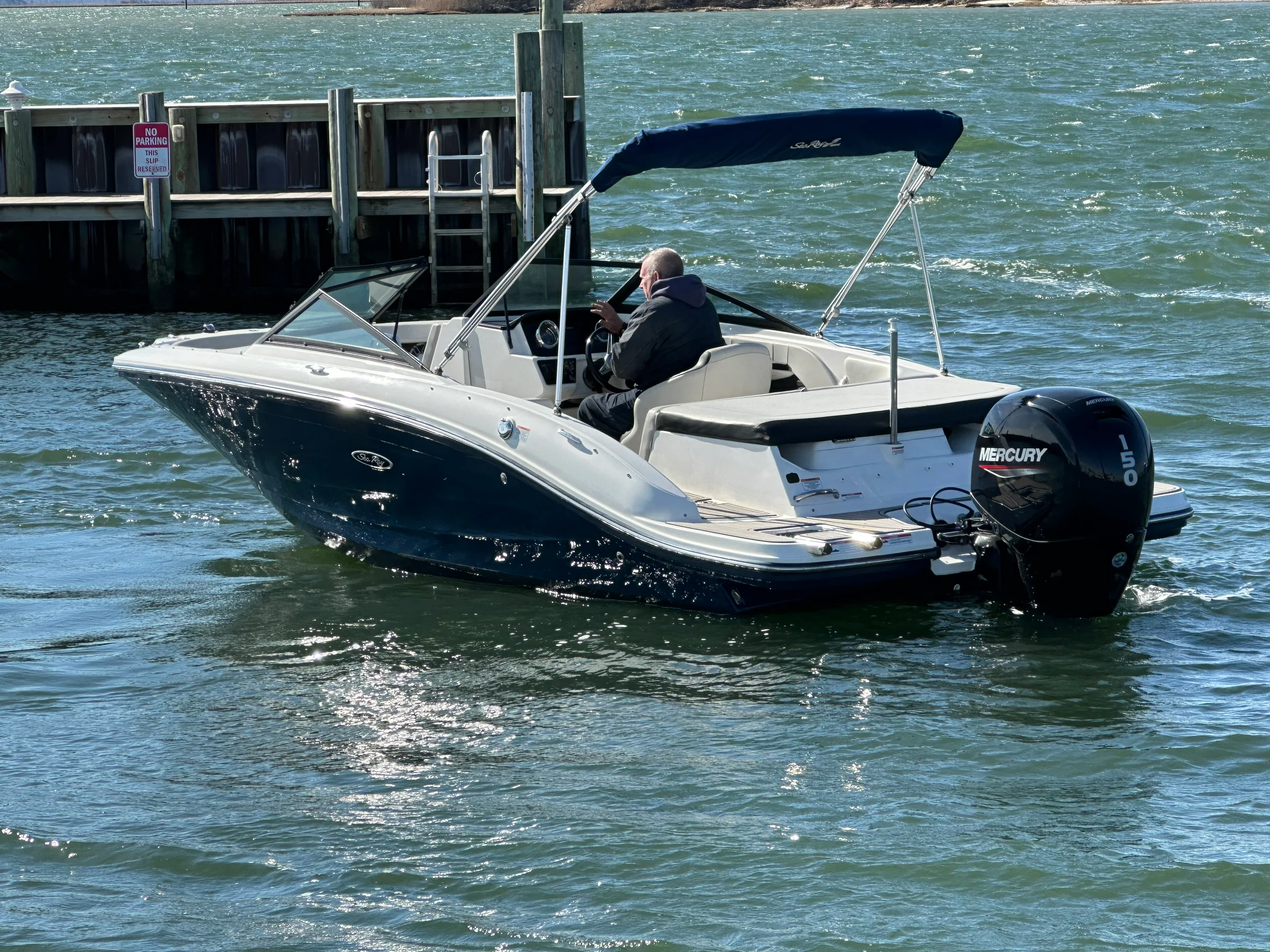 2022 Sea Ray SPX 190 OB Image Thumbnail #9