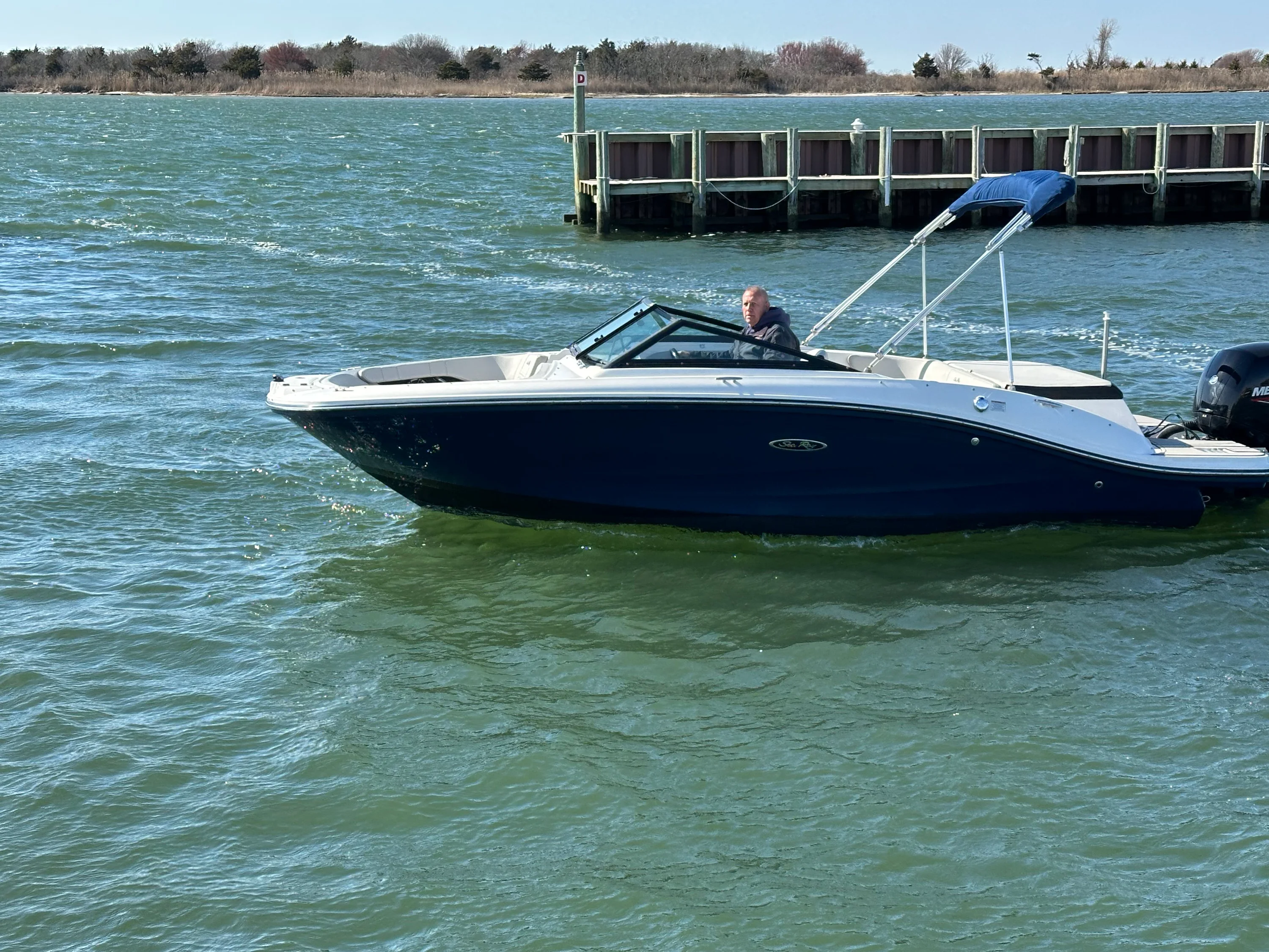 2022 Sea Ray SPX 190 OB Image Thumbnail #3