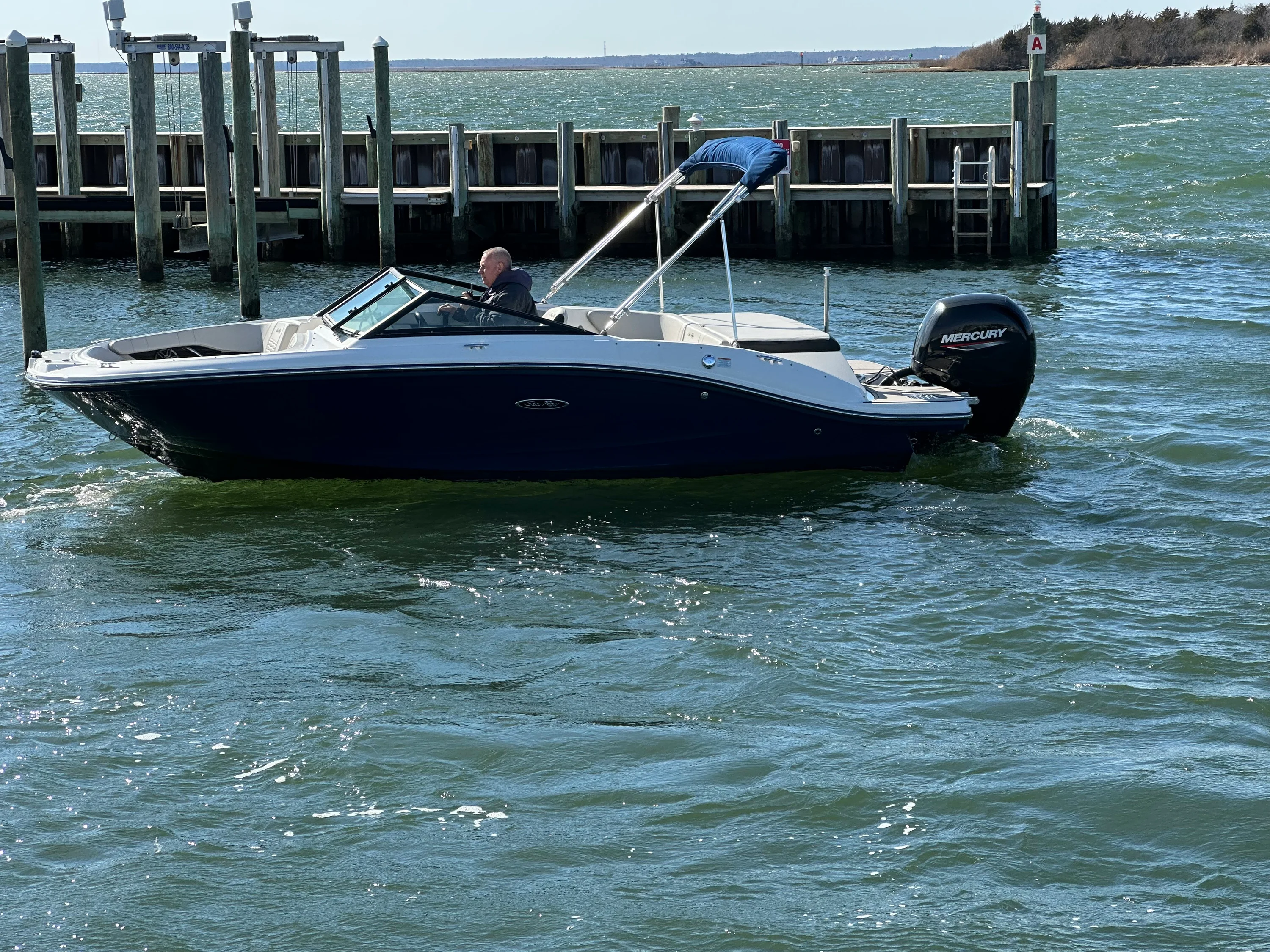 2022 Sea Ray SPX 190 OB Image Thumbnail #1