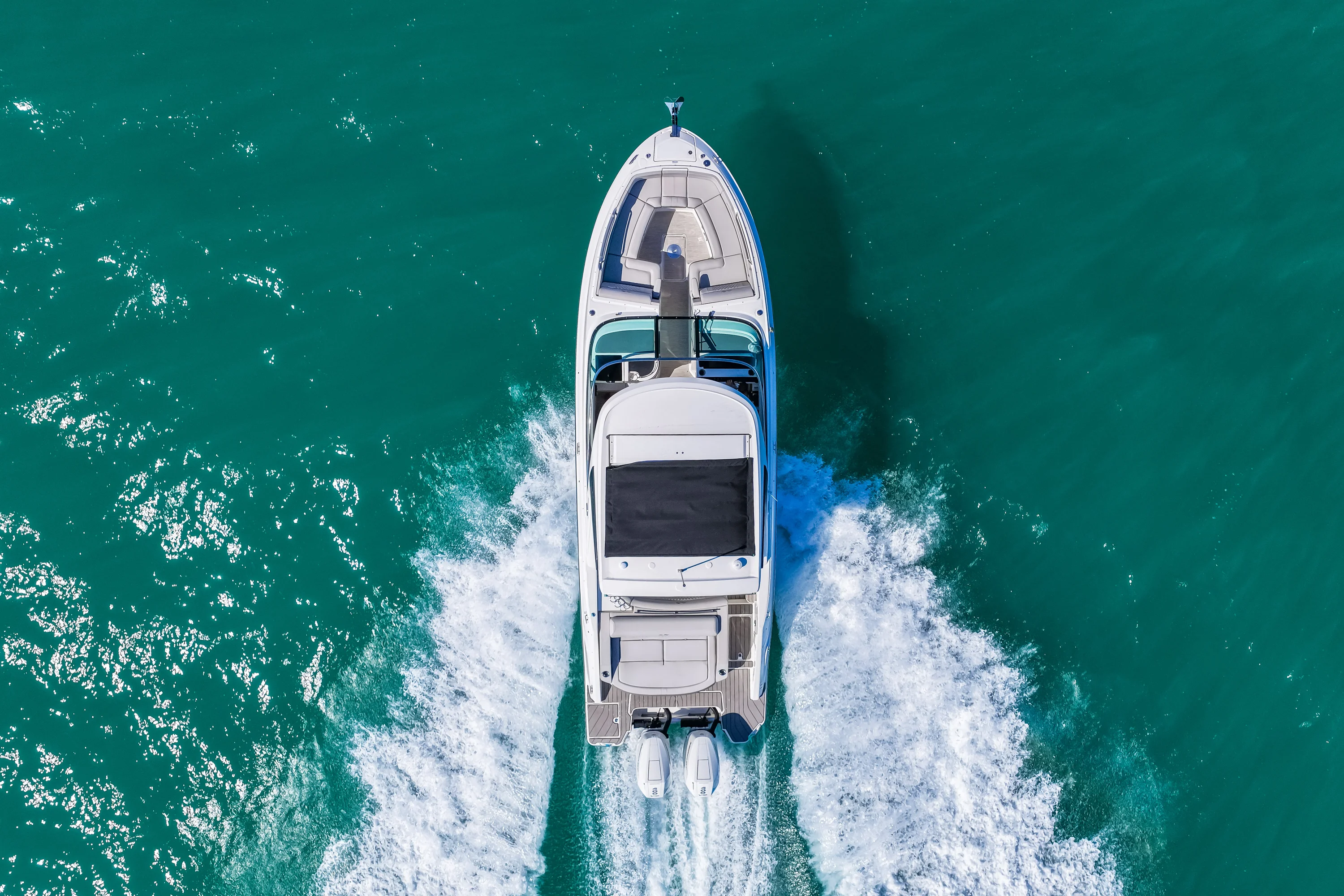 2026 Sea Ray SLX 310 Outboard Image Thumbnail #5