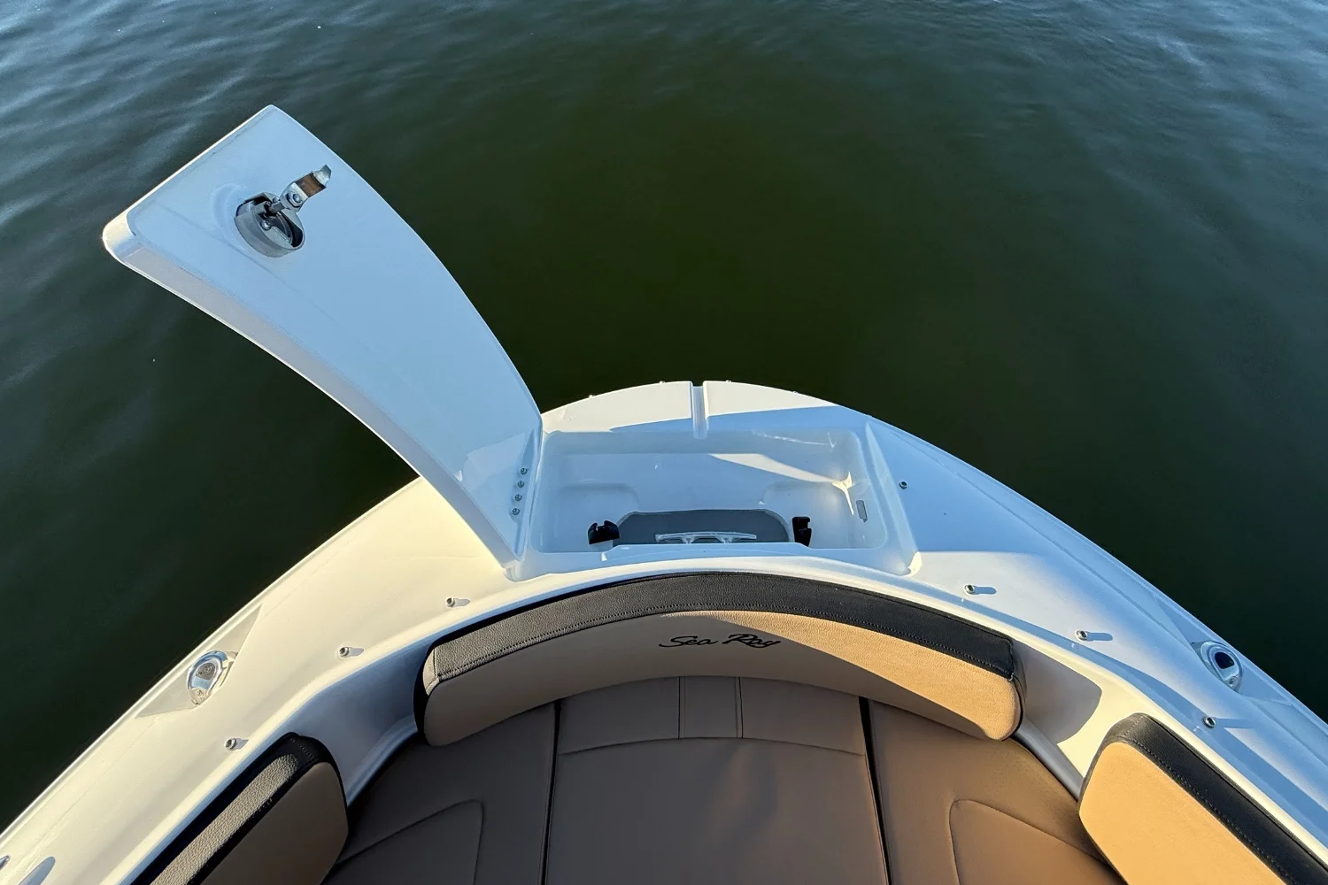 2026 Sea Ray SPX 210 Outboard Image Thumbnail #31