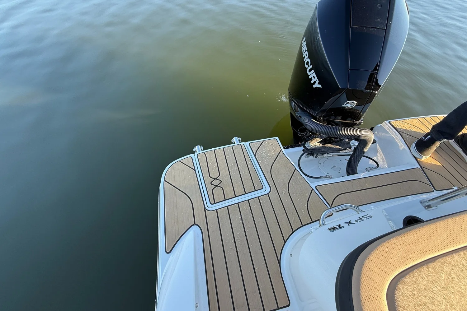 2026 Sea Ray SPX 210 Outboard Image Thumbnail #9