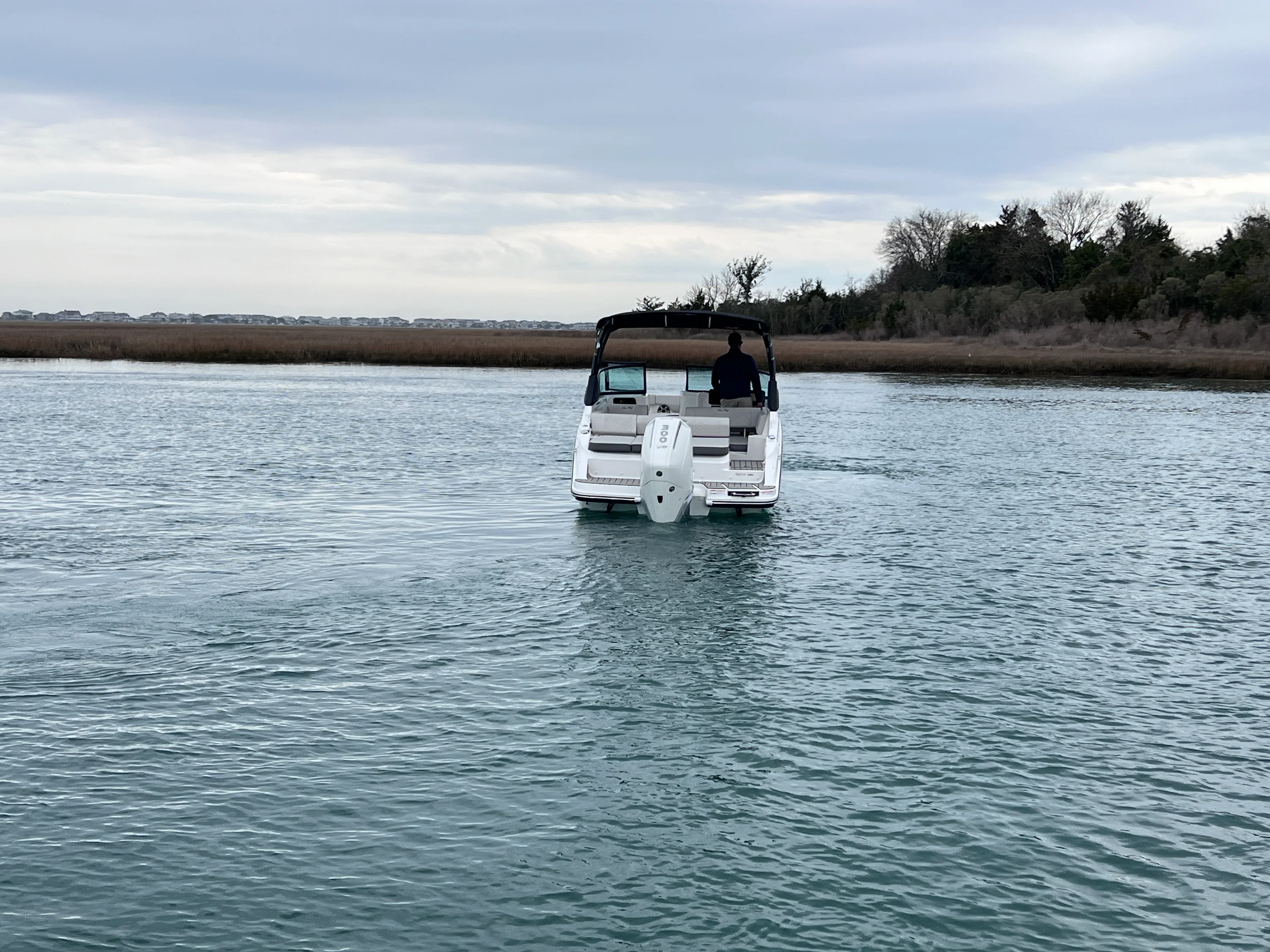 2026 Sea Ray SDX 250 Outboard Image Thumbnail #5