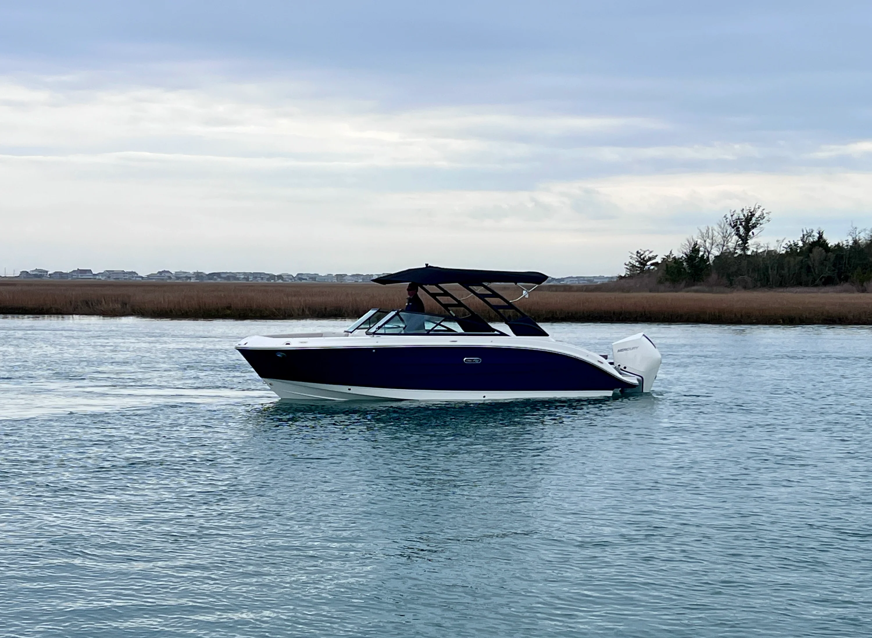 2026 Sea Ray SDX 250 Outboard Image Thumbnail #9