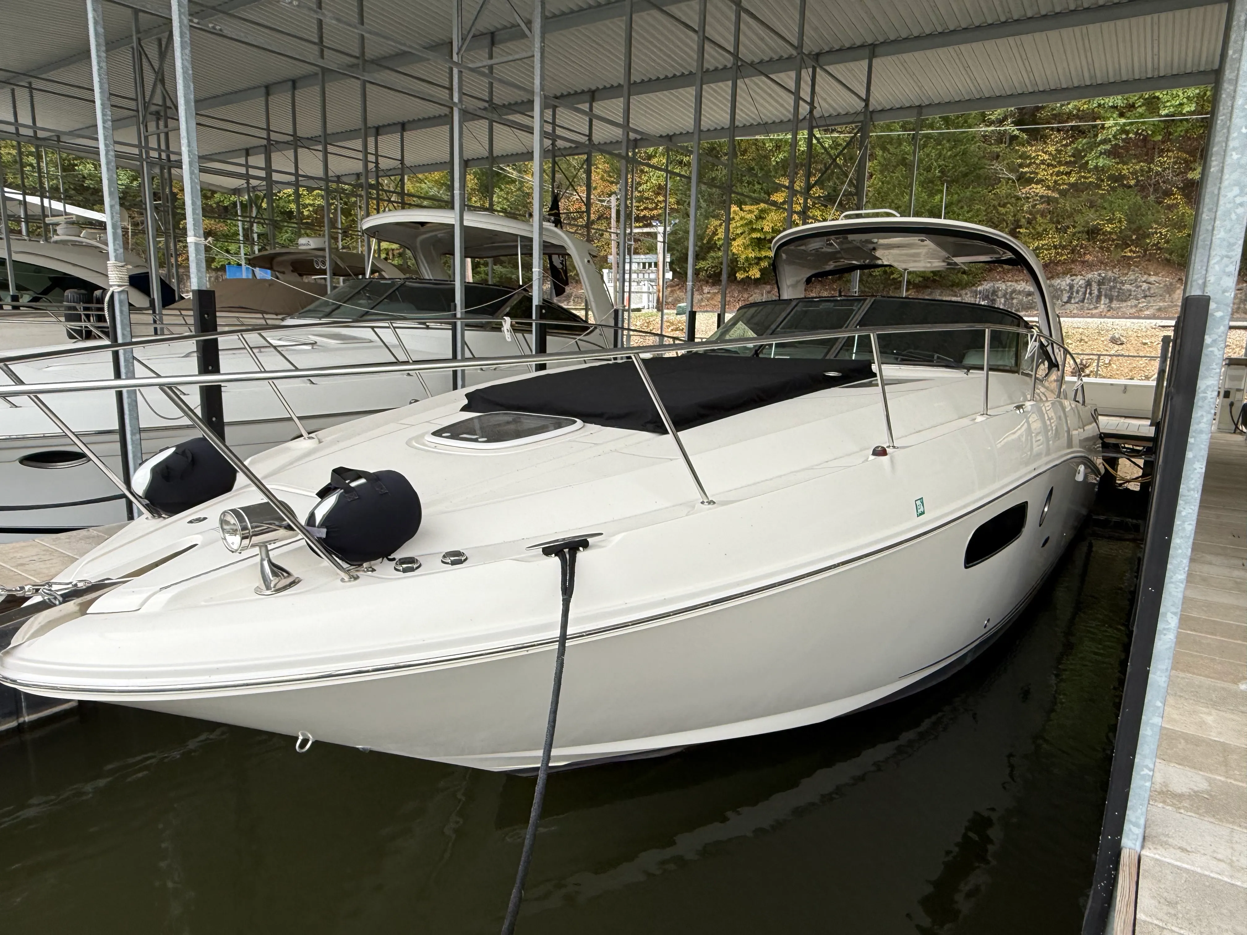 2010 Sea Ray 370 SUNDANCER Image Thumbnail #3