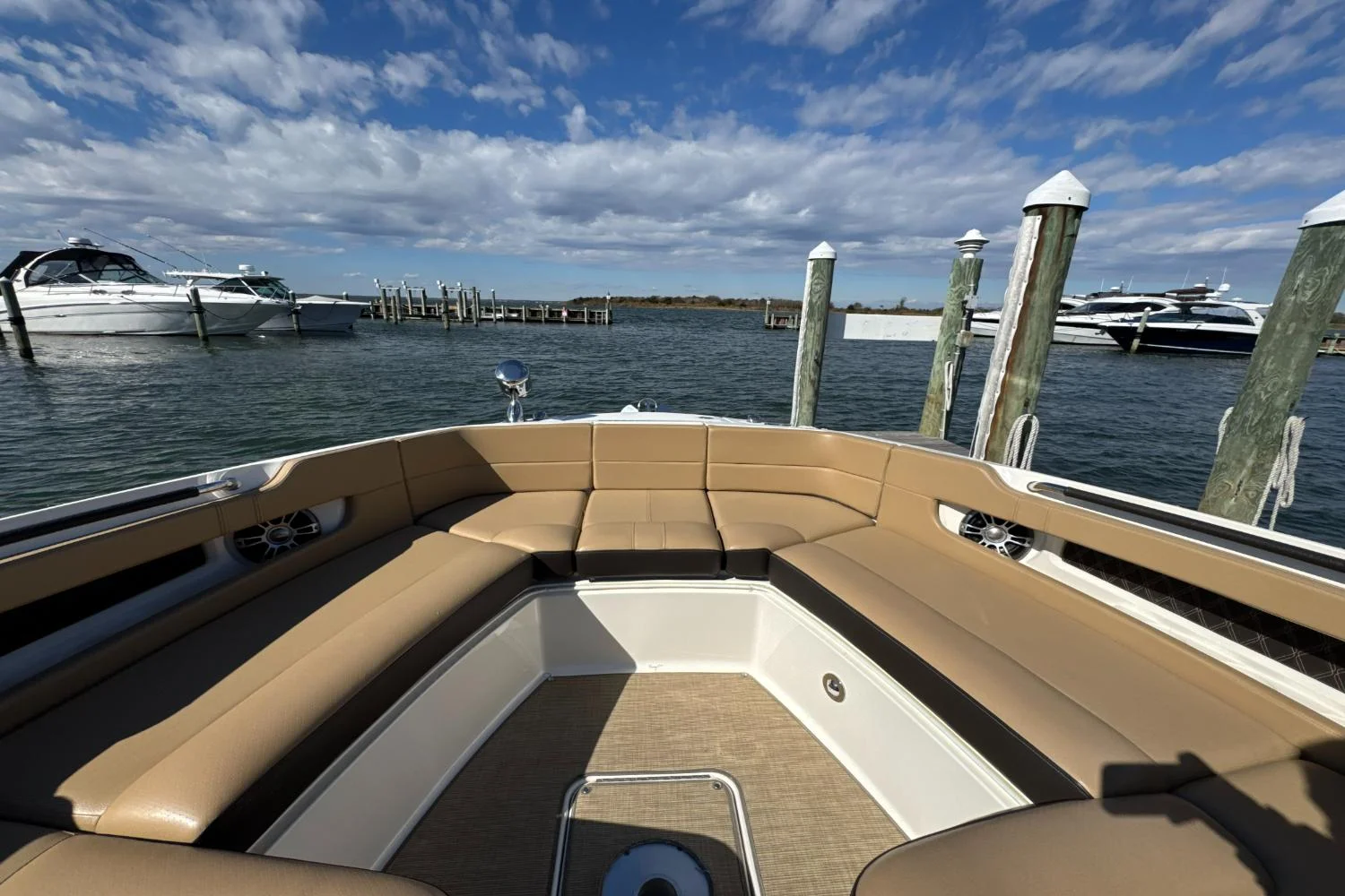 2019 Sea Ray SLX 310 Image Thumbnail #39