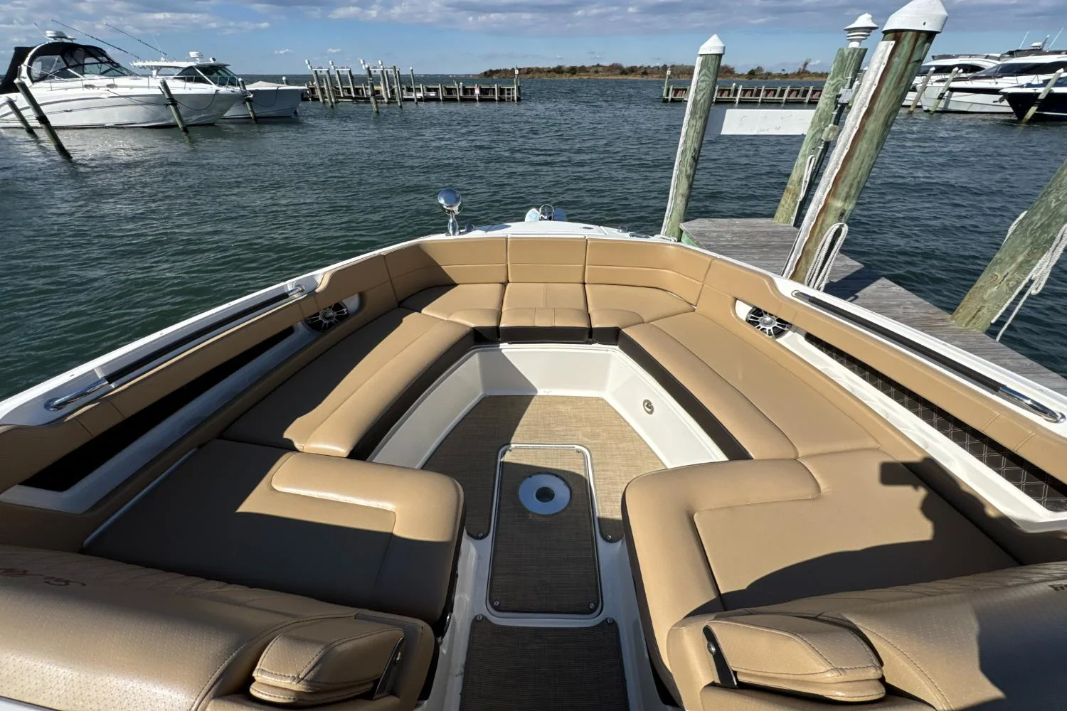 2019 Sea Ray SLX 310 Image Thumbnail #38