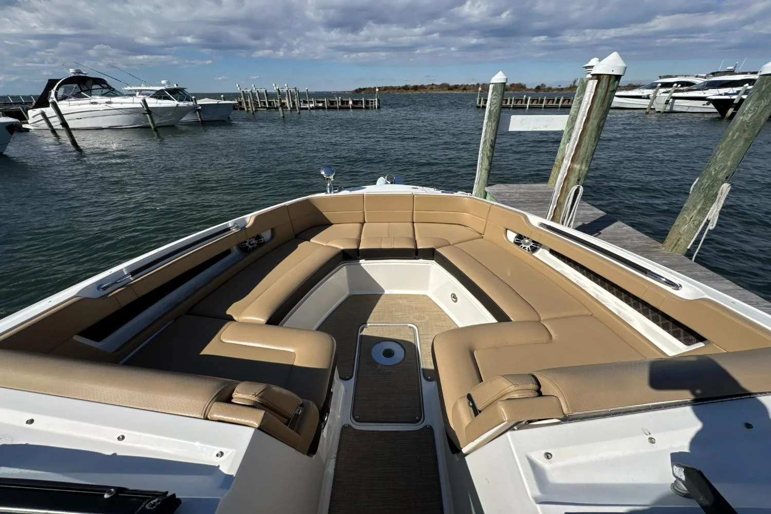 2019 Sea Ray SLX 310 Image Thumbnail #36