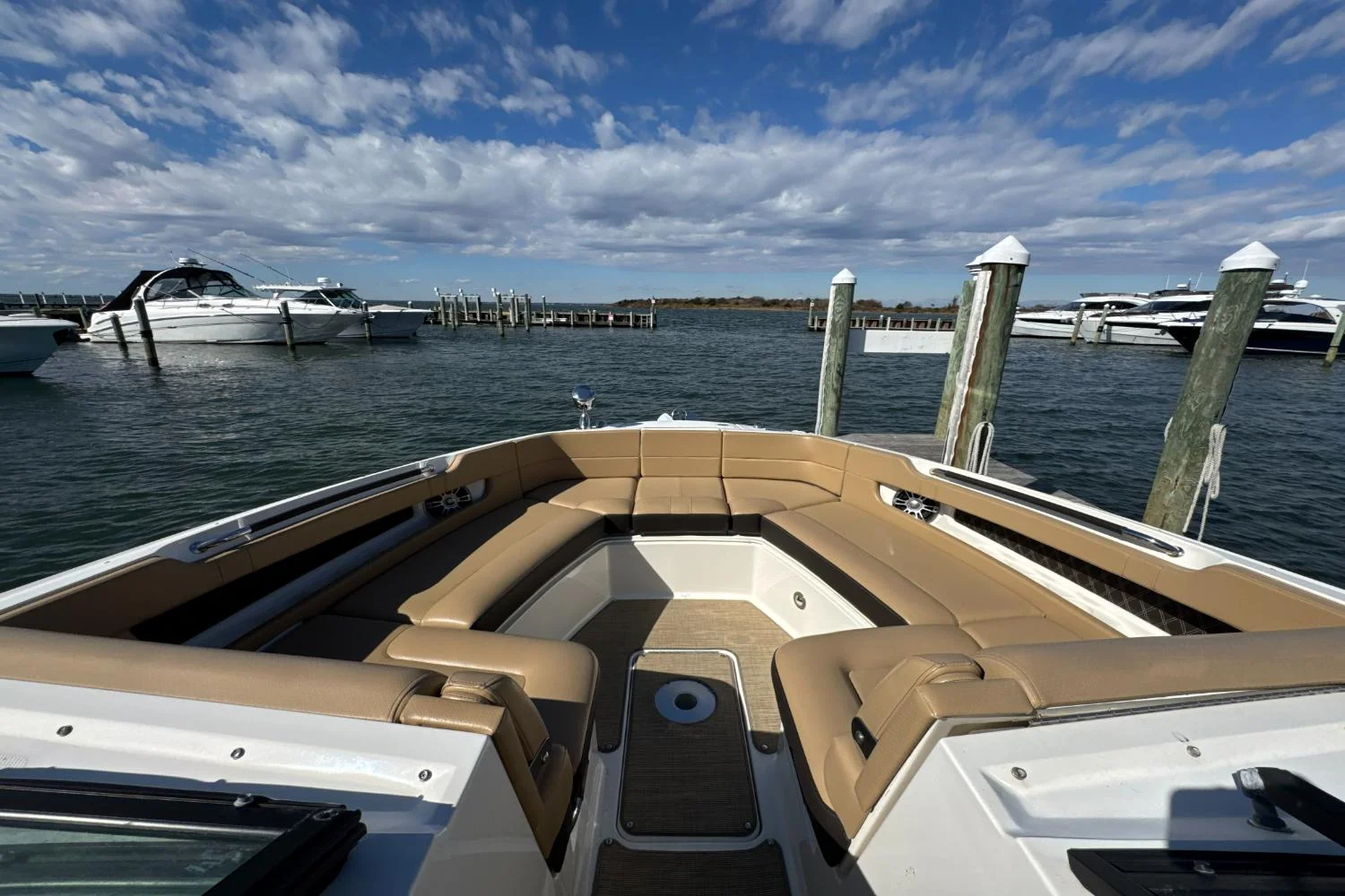 2019 Sea Ray SLX 310 Image Thumbnail #35