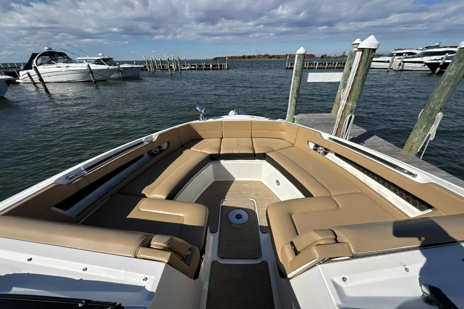 2019 Sea Ray SLX 310 Image Thumbnail #37