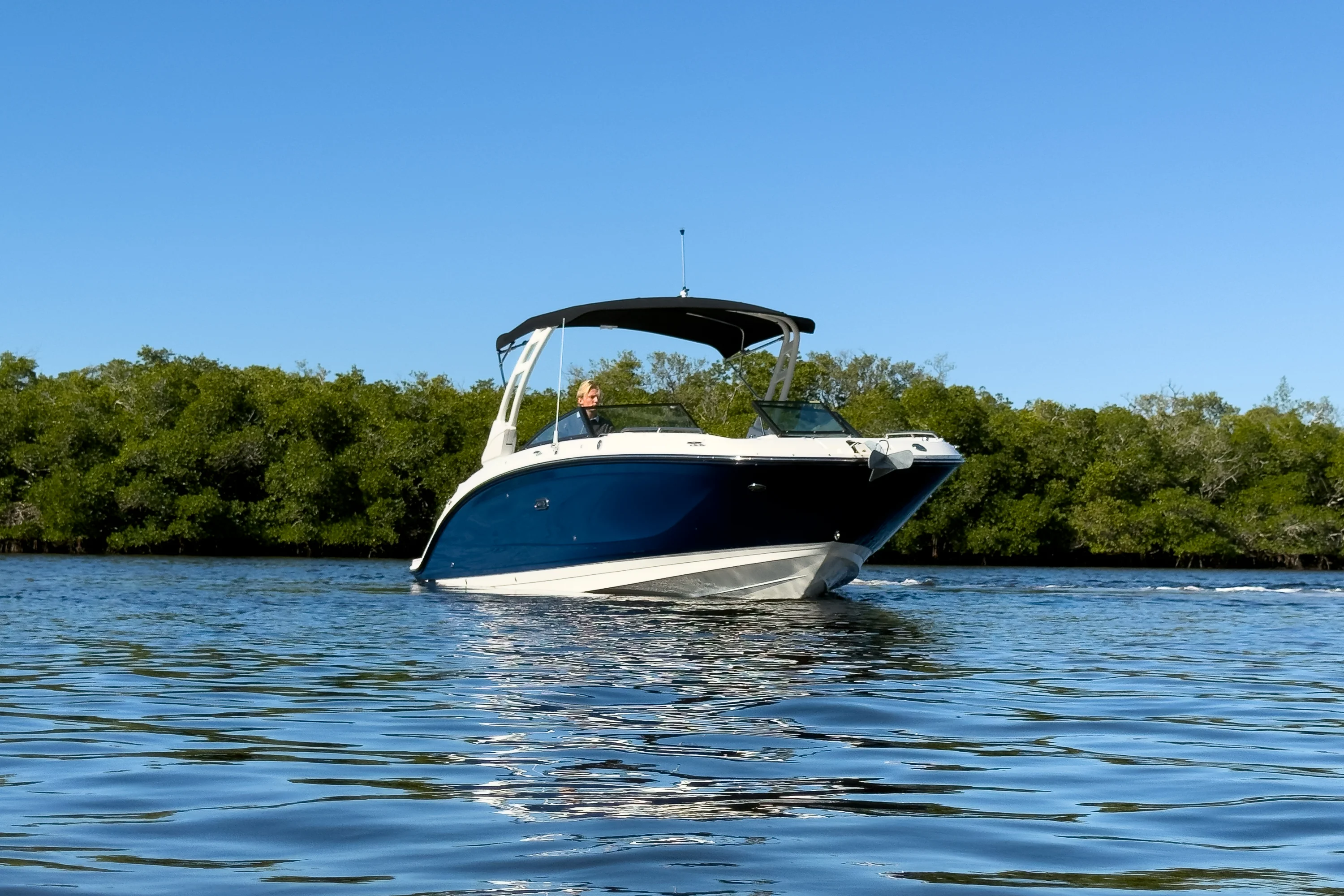 2026 Sea Ray SDX 290 Outboard Image Thumbnail #24