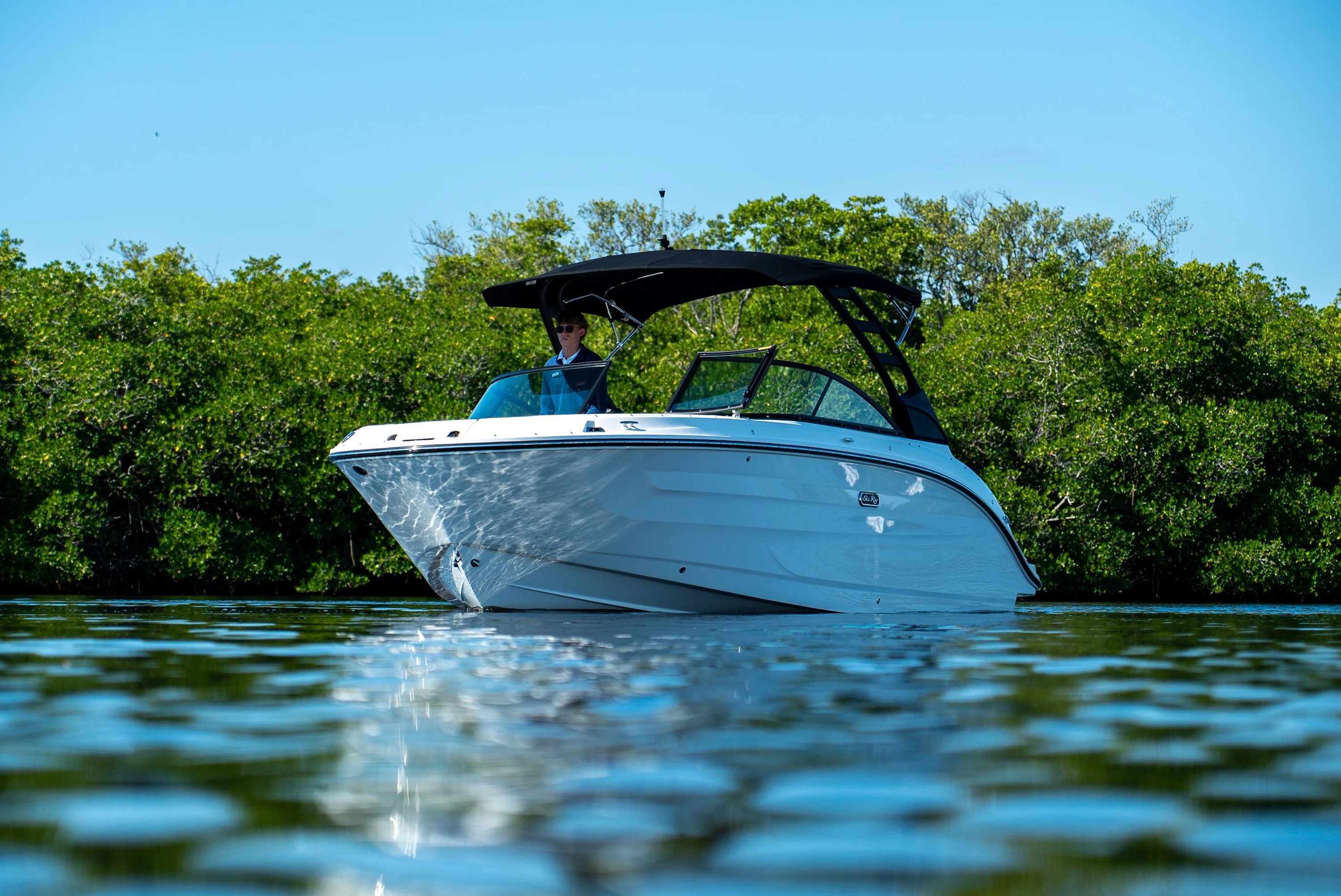 2026 Sea Ray SDX 250 Outboard Image Thumbnail #31