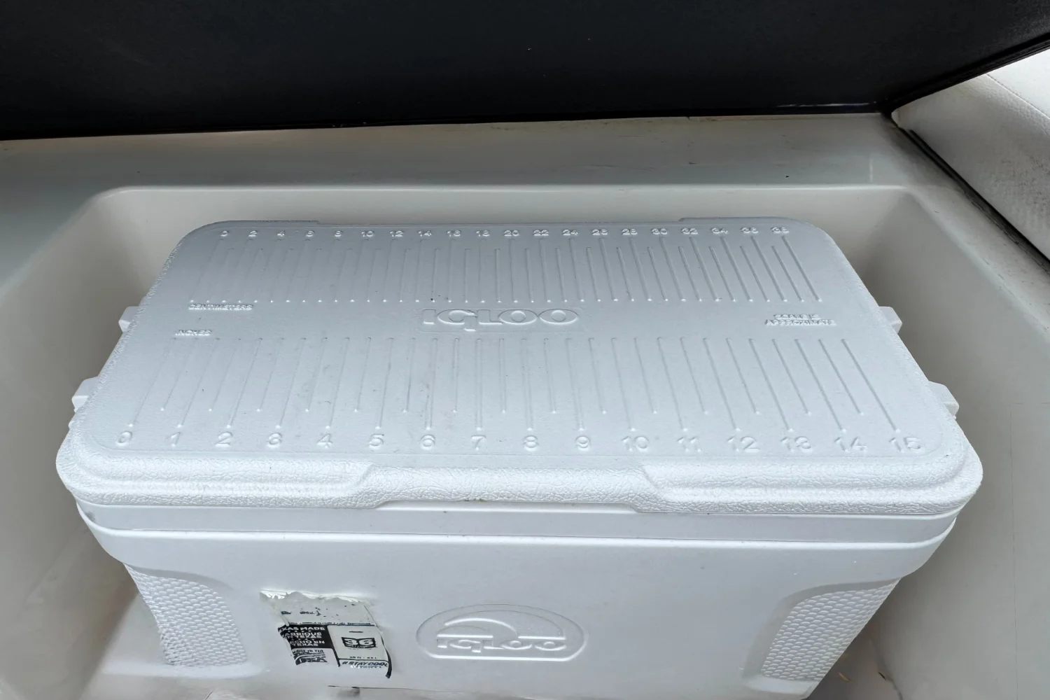 2021 Sea Ray SPX 210 OB Image Thumbnail #10