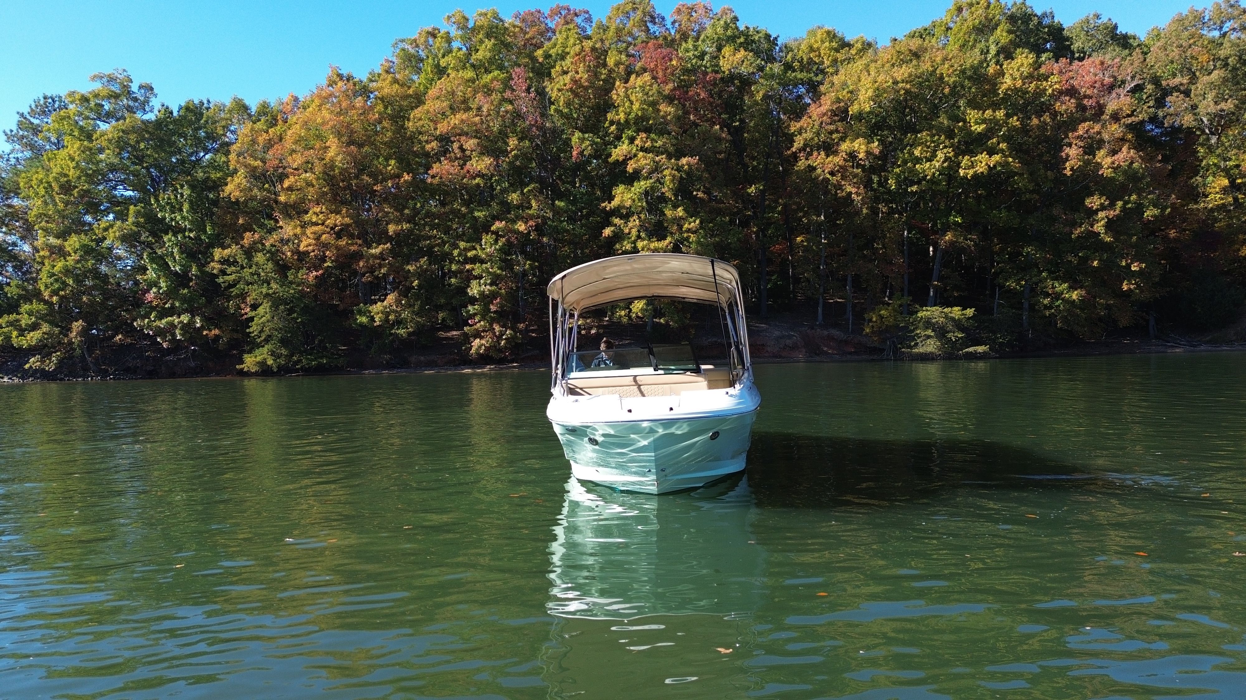 2021 Sea Ray 250 SDX Image Thumbnail #8