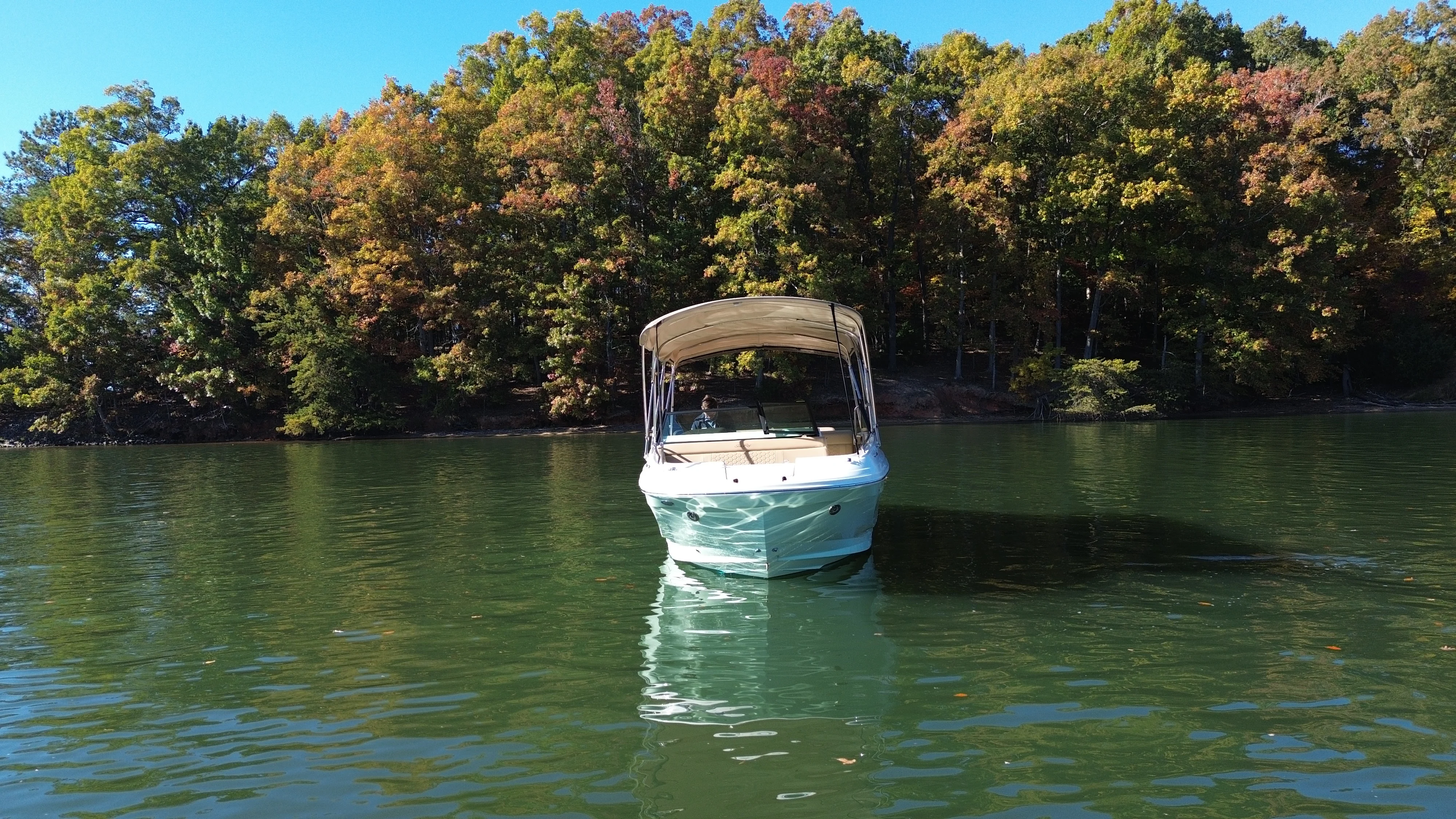 2021 Sea Ray 250 SDX Image Thumbnail #8