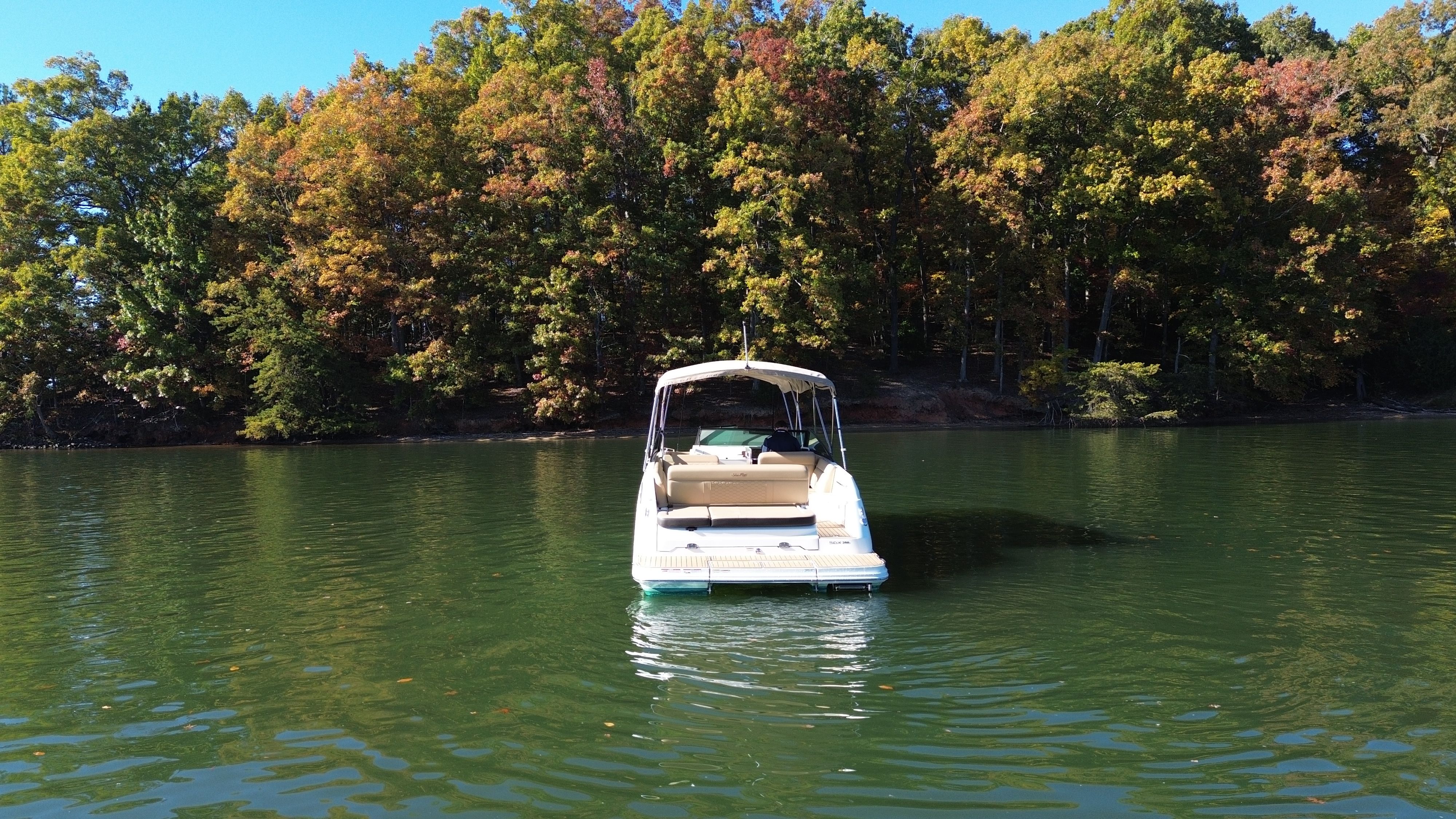 2021 Sea Ray 250 SDX Image Thumbnail #3