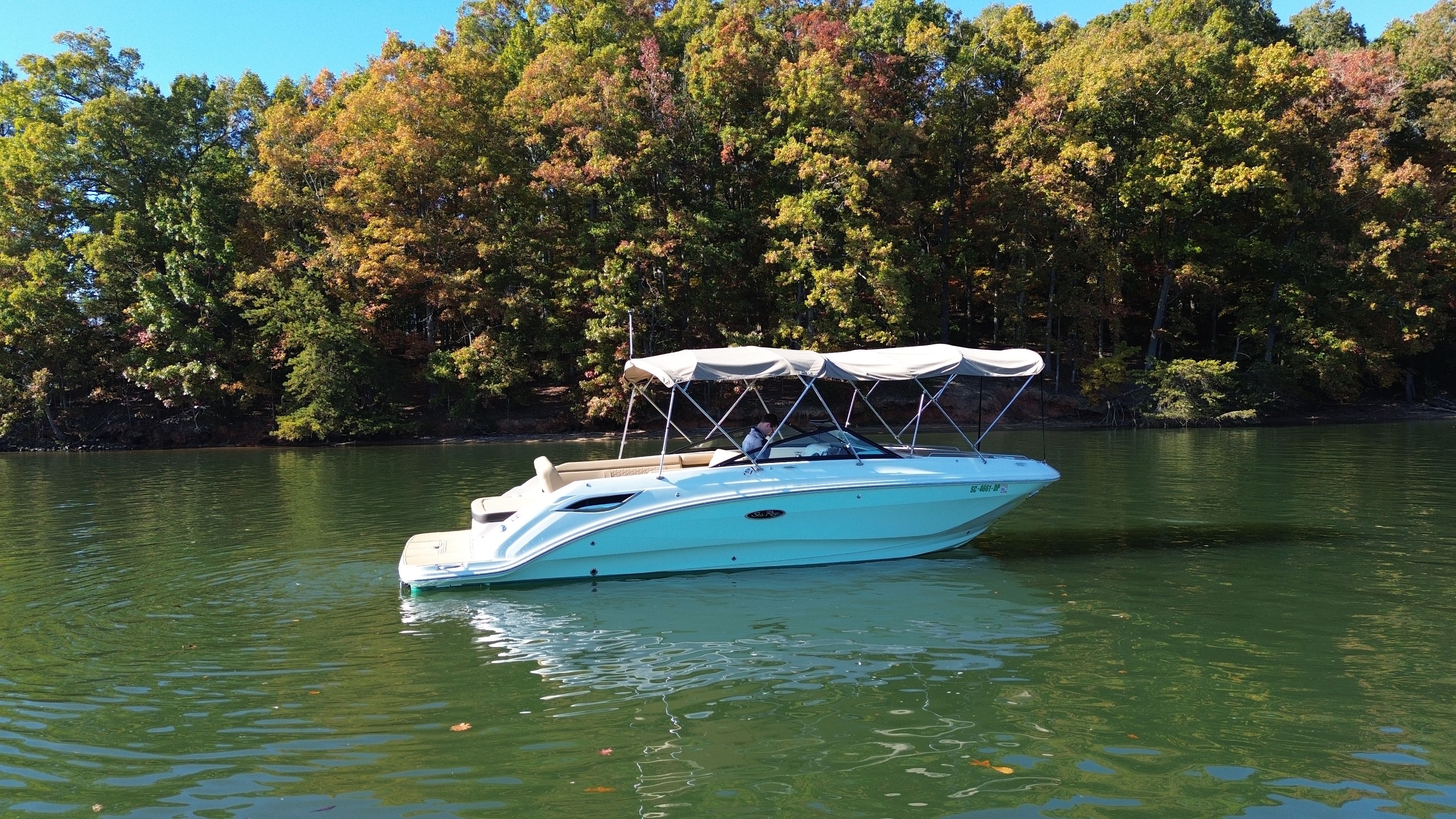 2021 Sea Ray 250 SDX Image Thumbnail #12