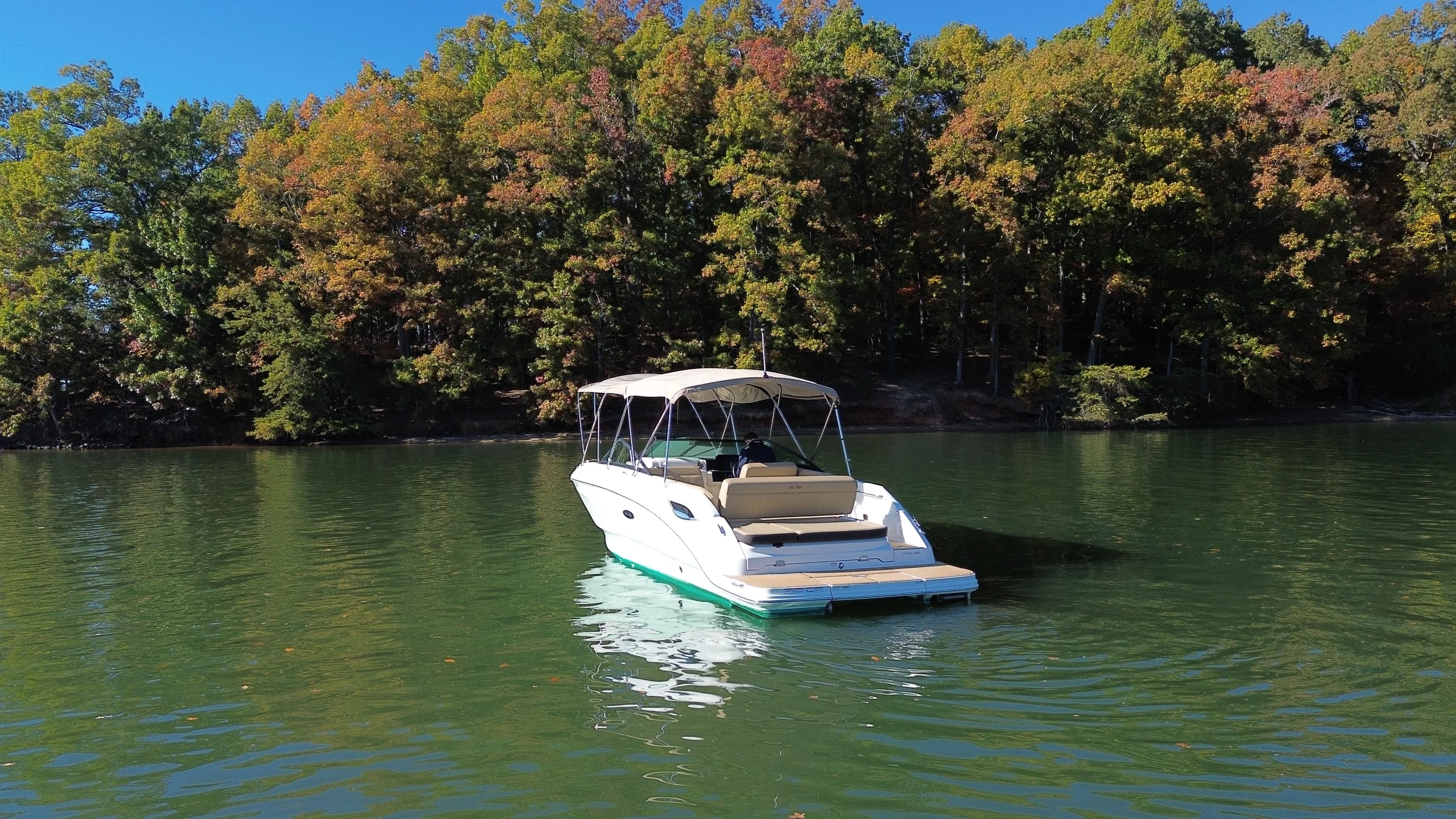 2021 Sea Ray 250 SDX Image Thumbnail #2