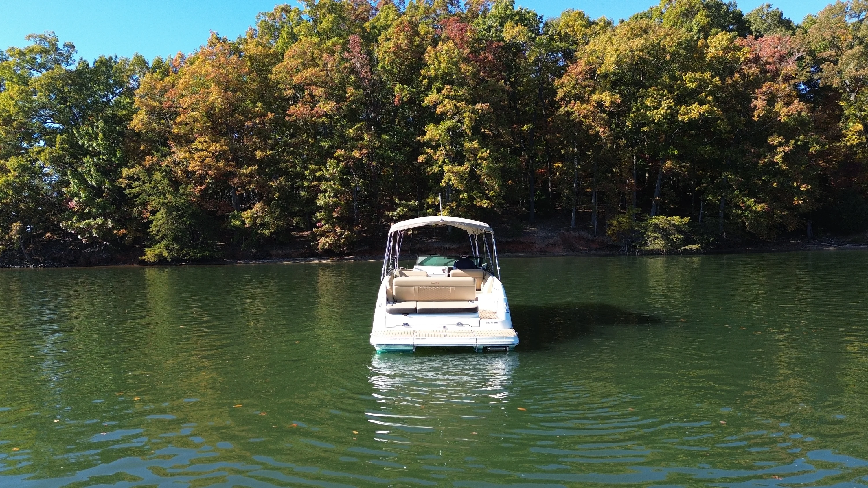 2021 Sea Ray 250 SDX Image Thumbnail #4