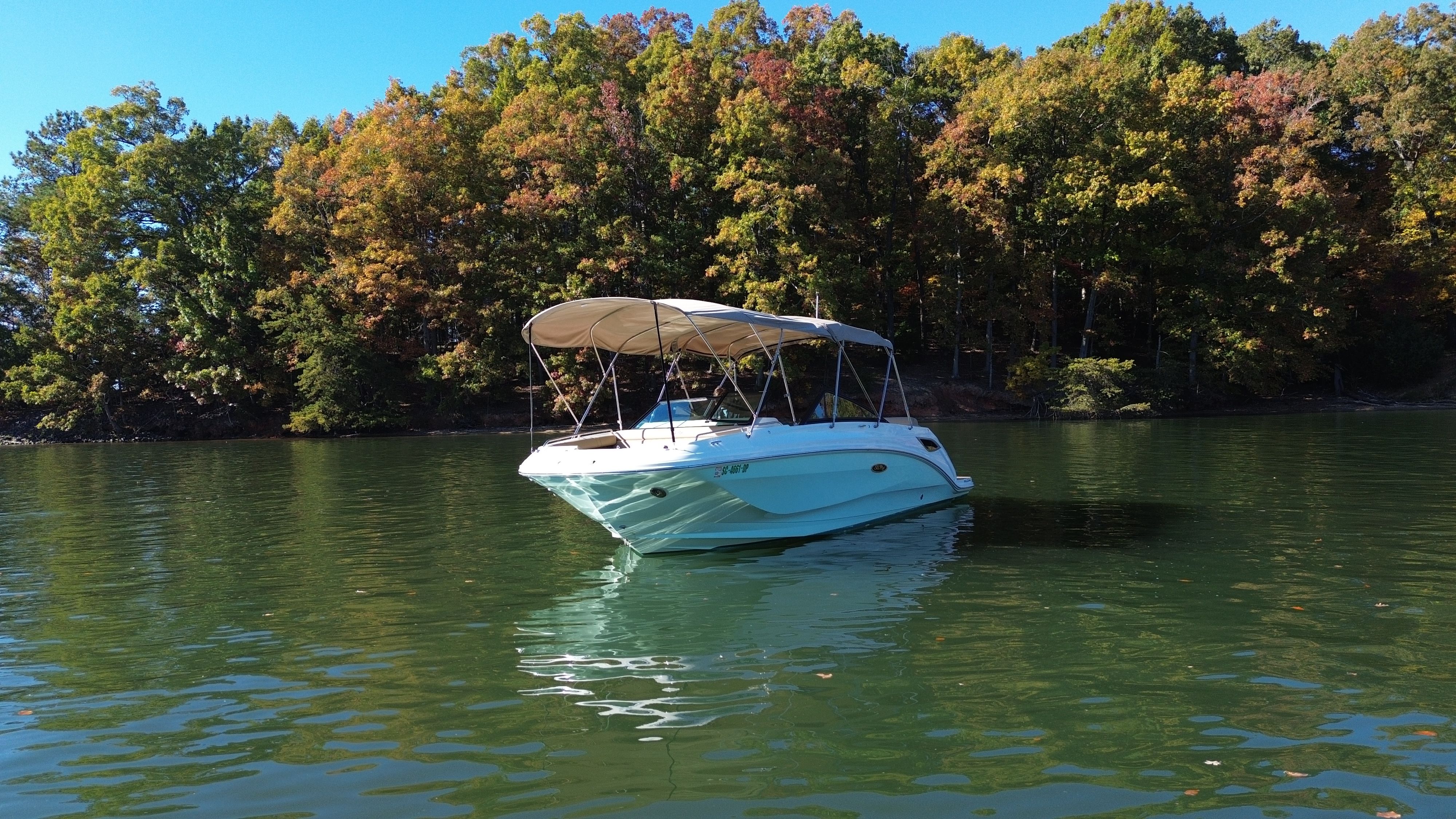 2021 Sea Ray 250 SDX Image Thumbnail #9