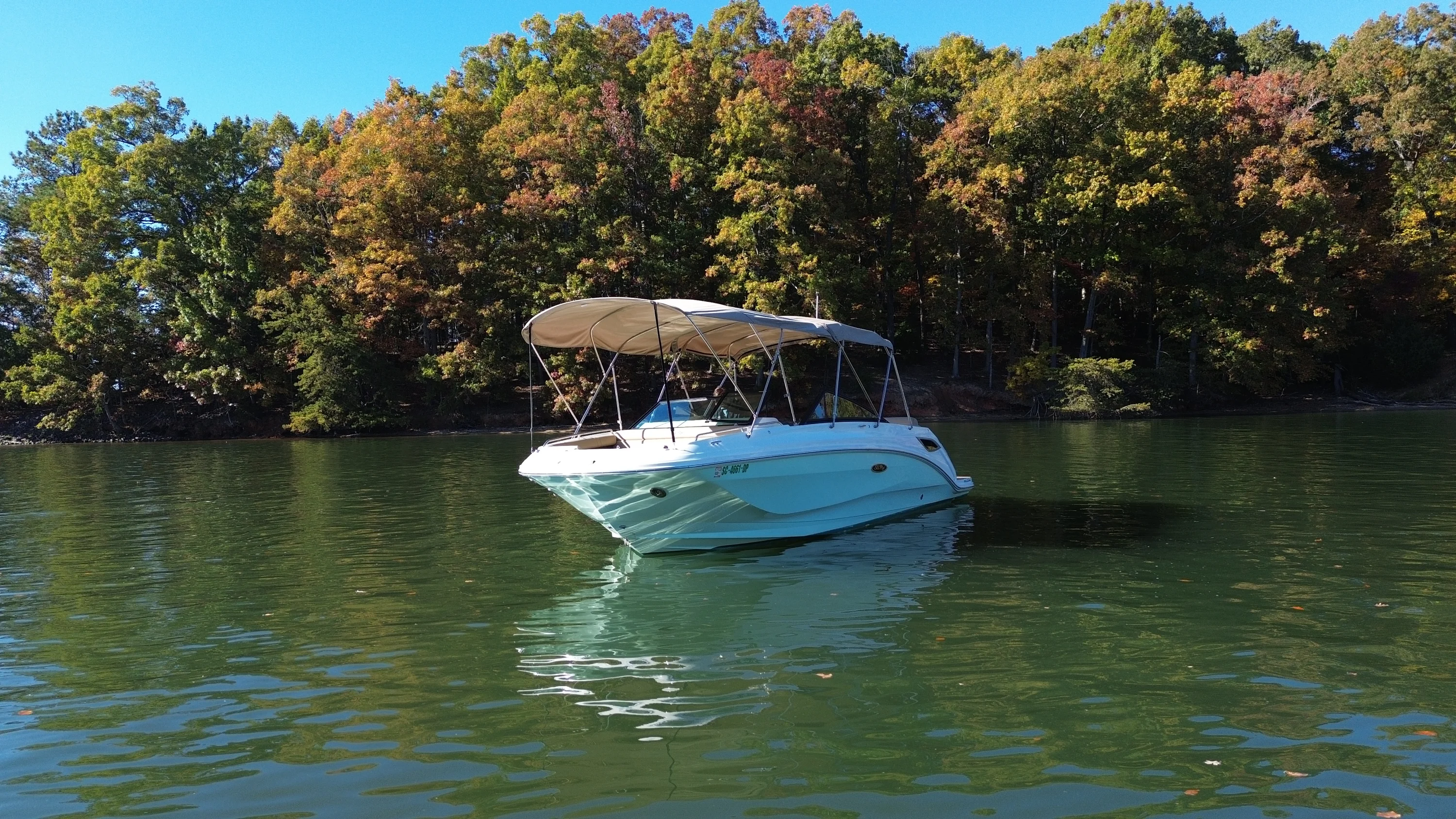 2021 Sea Ray 250 SDX Image Thumbnail #9