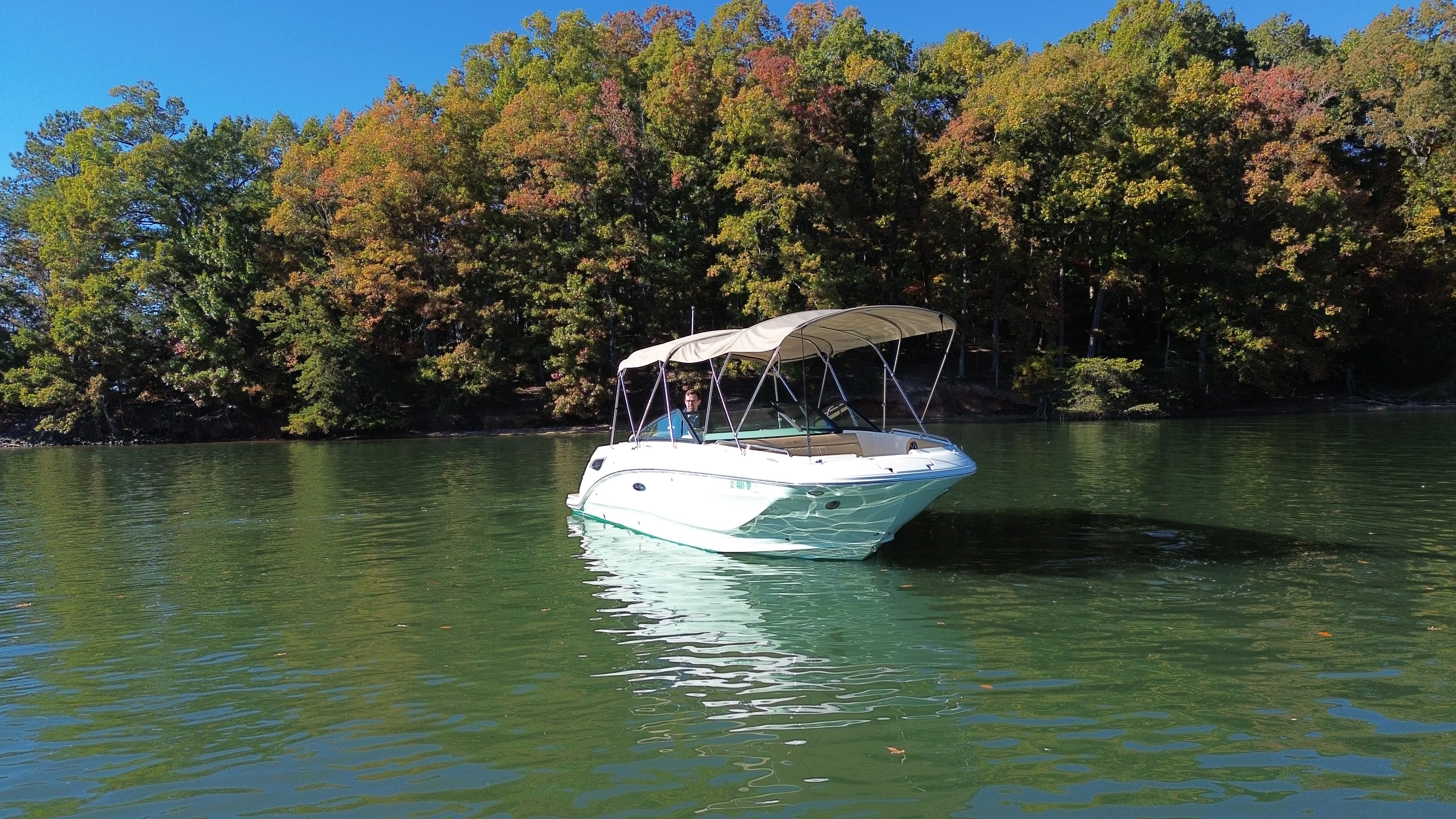 2021 Sea Ray 250 SDX Image Thumbnail #7