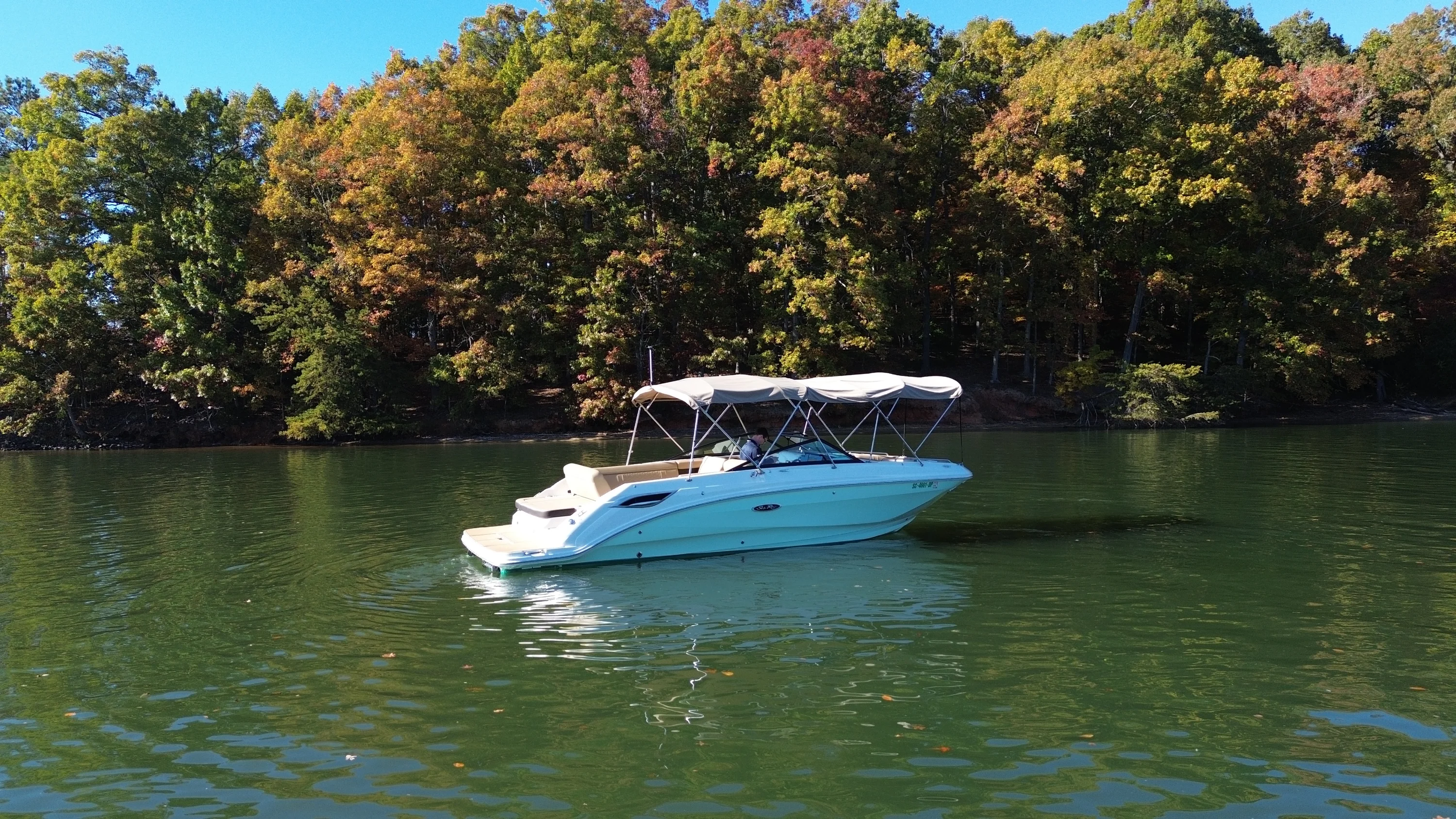 2021 Sea Ray 250 SDX Image Thumbnail #11