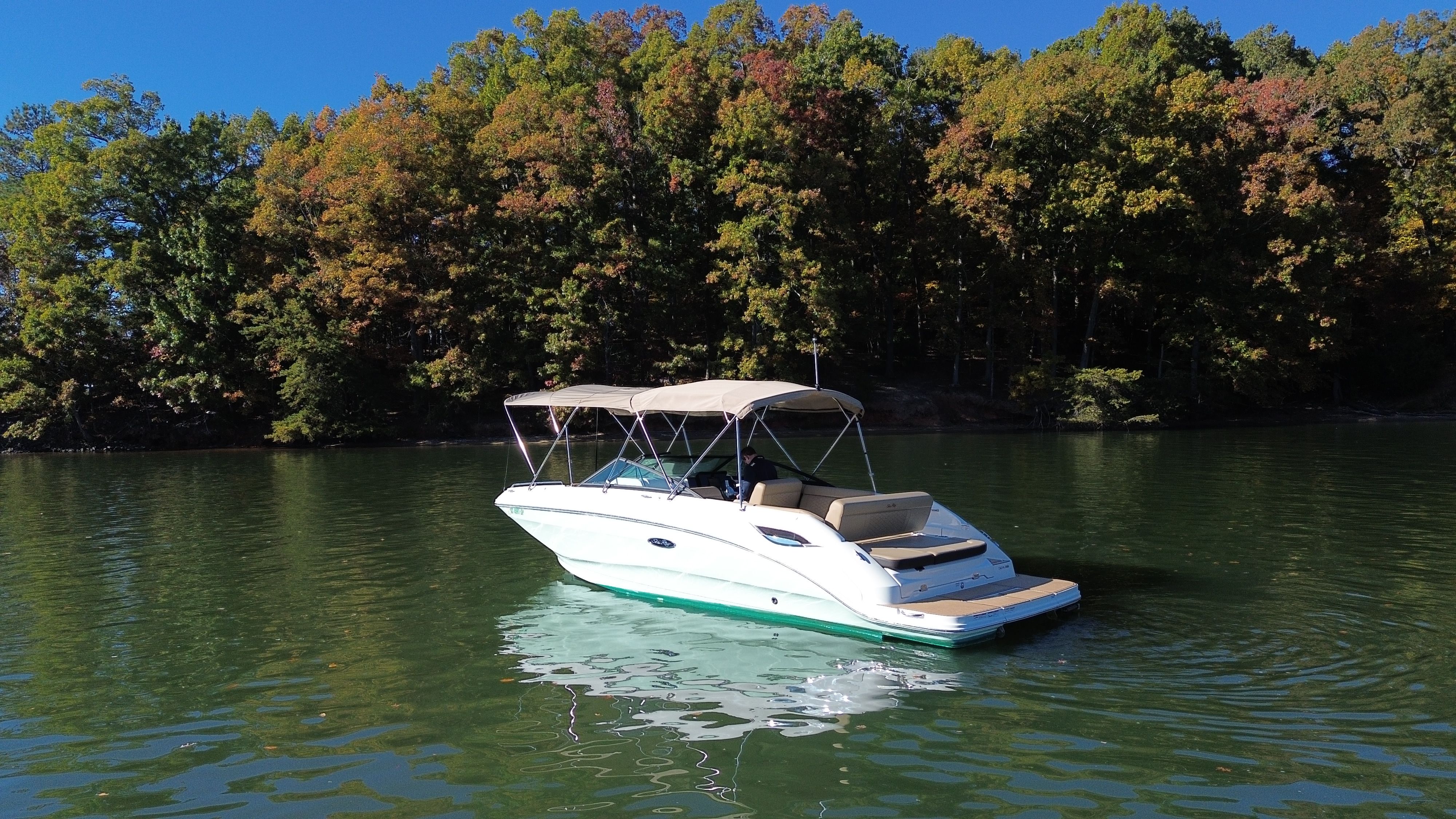 2021 Sea Ray 250 SDX Image Thumbnail #1