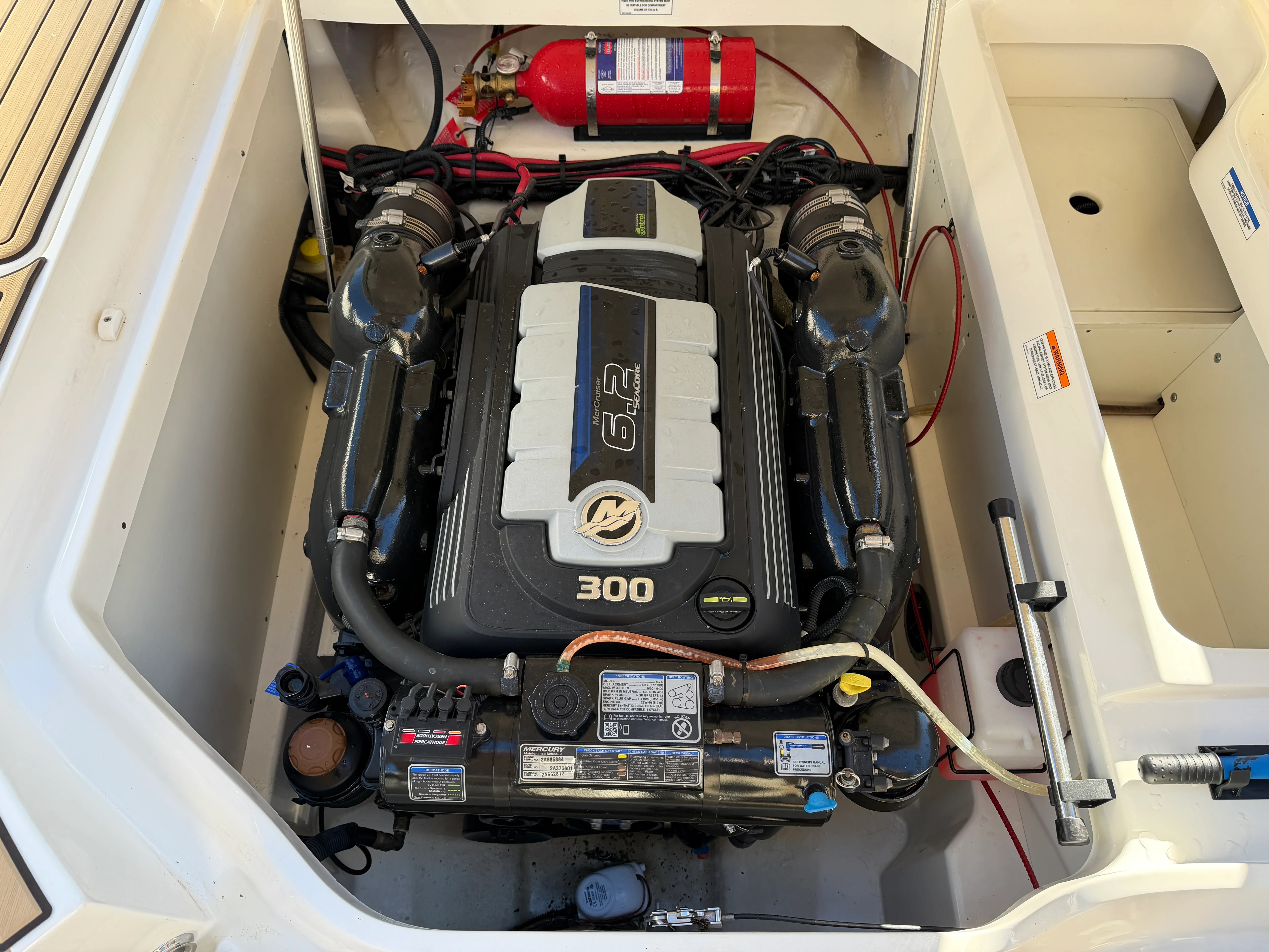 2021 Sea Ray 250 SDX Image Thumbnail #29