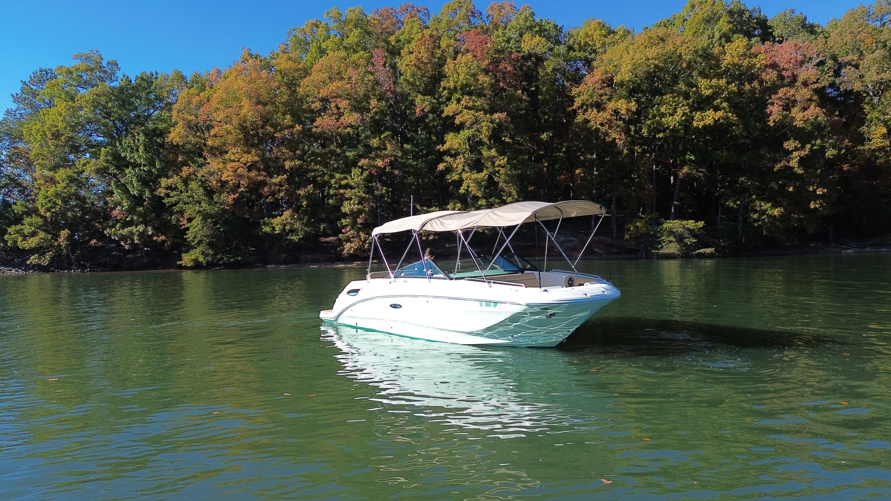 2021 Sea Ray 250 SDX Image Thumbnail #6