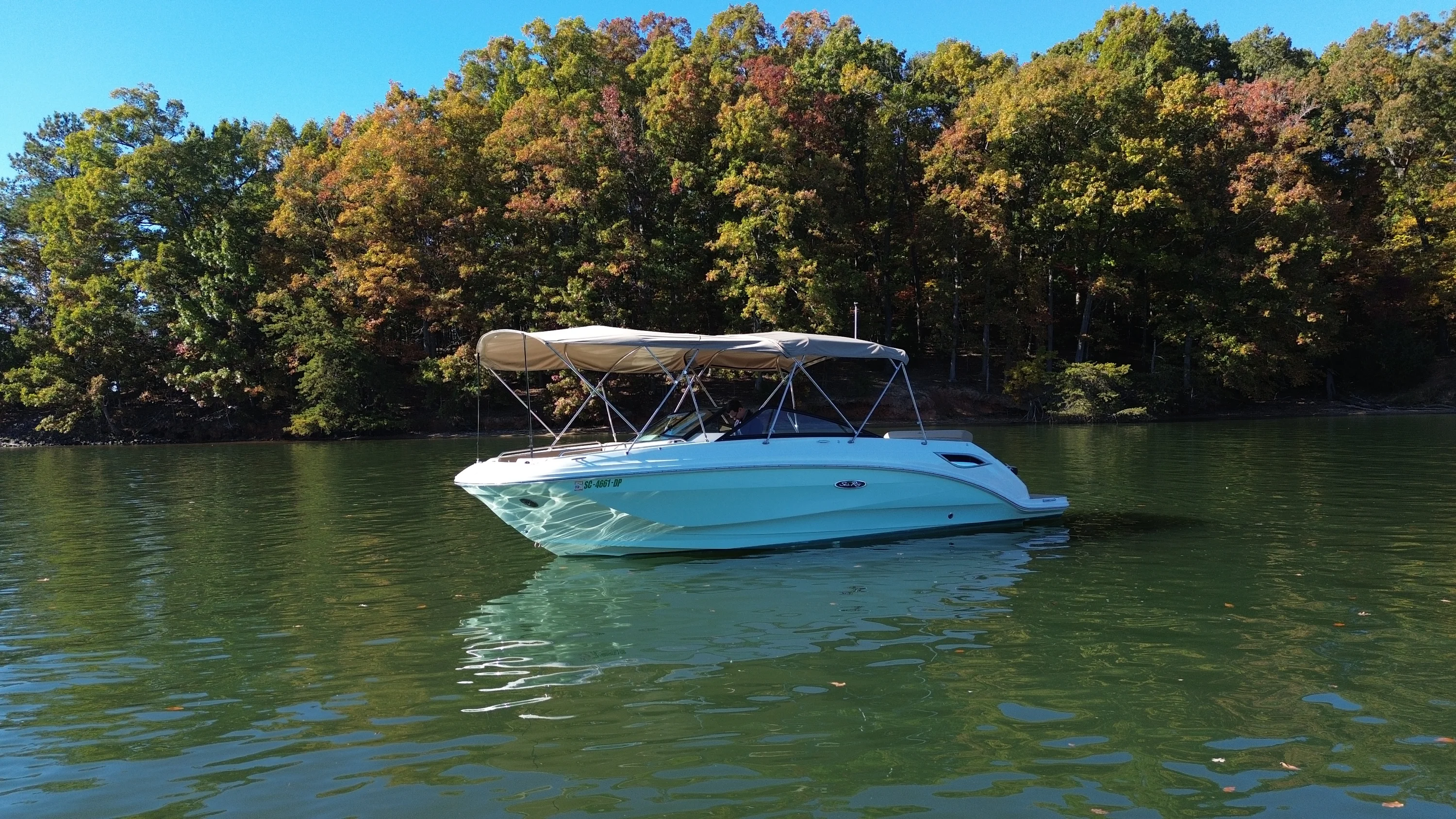 2021 Sea Ray 250 SDX Image Thumbnail #10