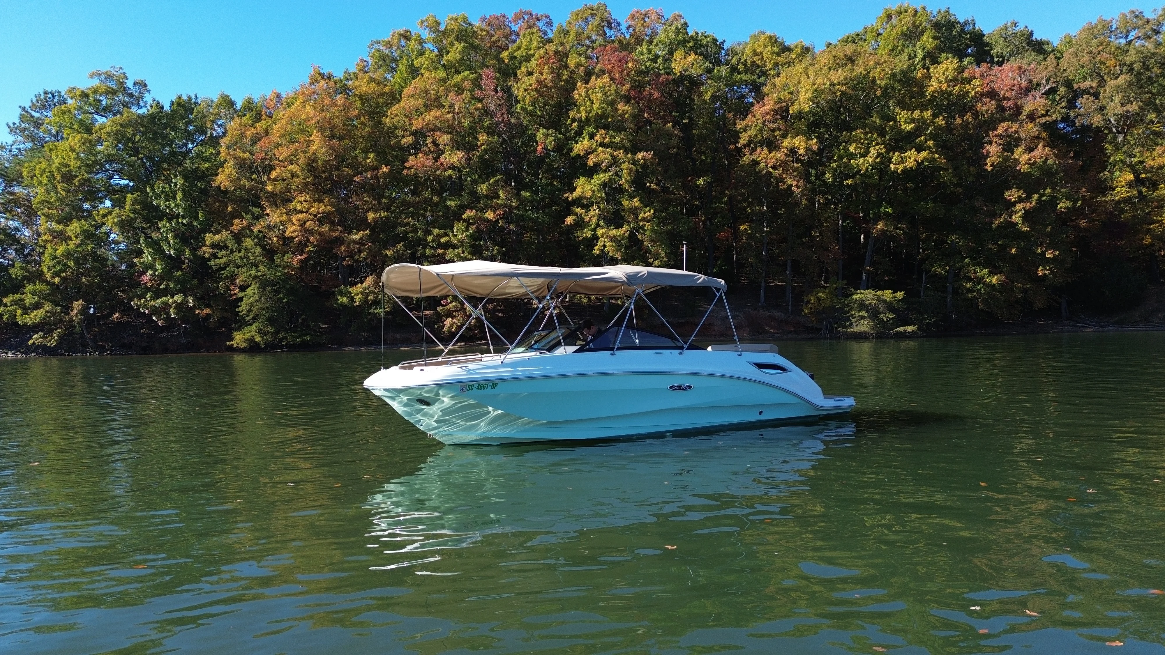 2021 Sea Ray 250 SDX Image Thumbnail #10