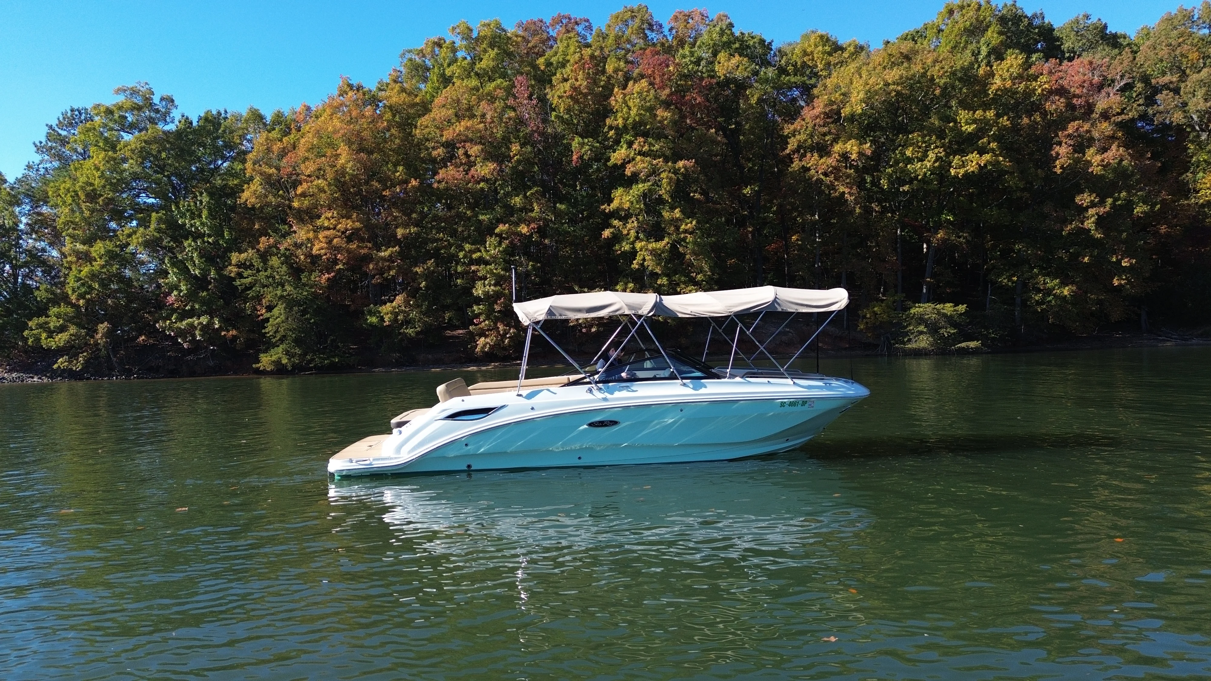 2021 Sea Ray 250 SDX Image Thumbnail #5