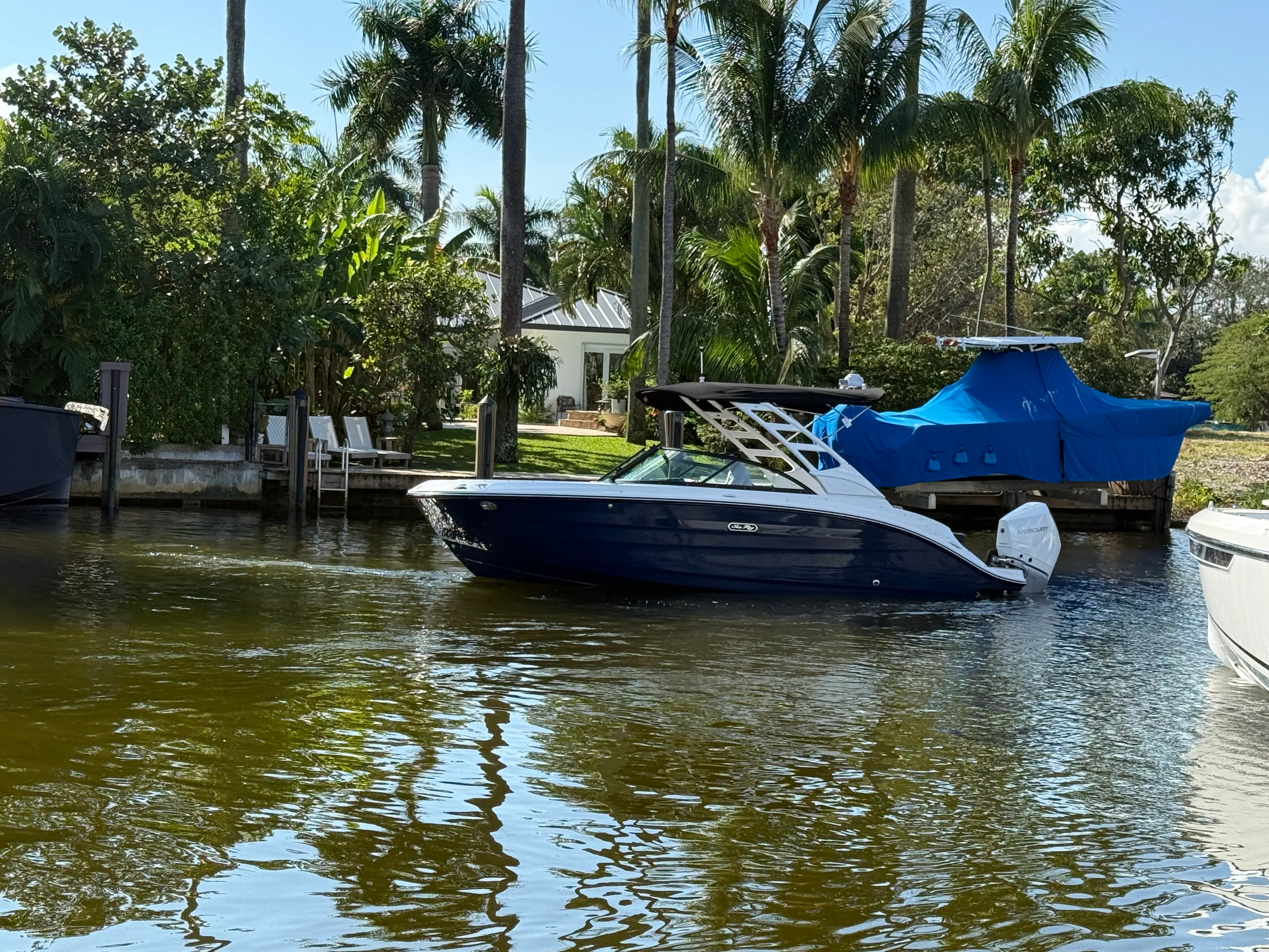 2026 Sea Ray SDX 230 Outboard Image Thumbnail #1