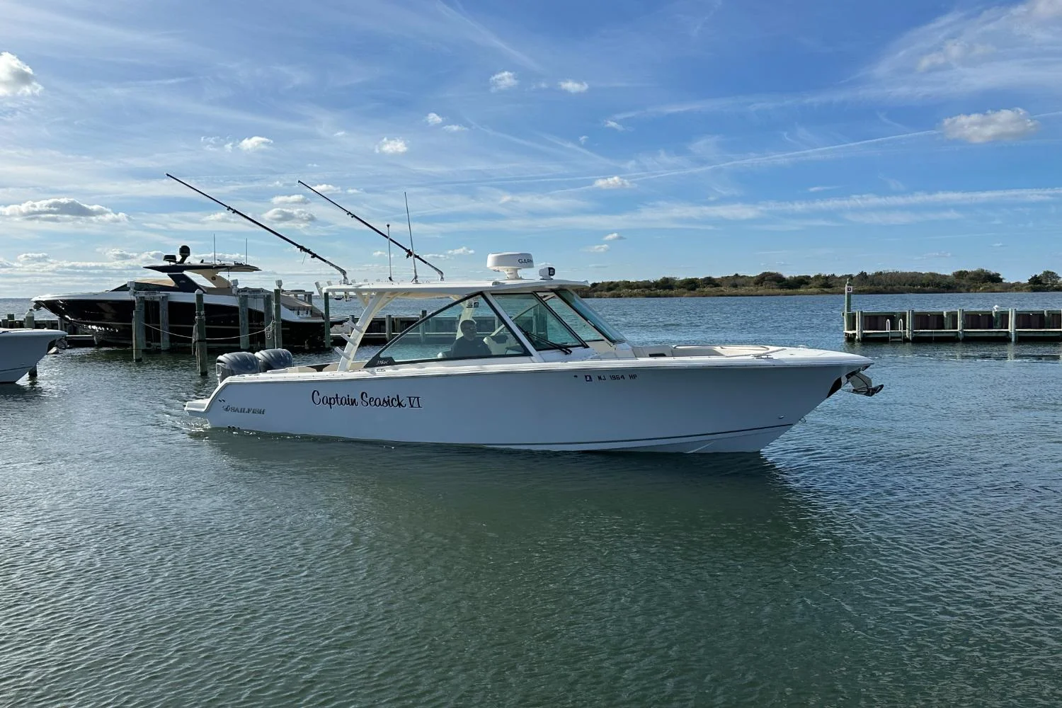 2023 Sailfish 316 DC Image Thumbnail #16