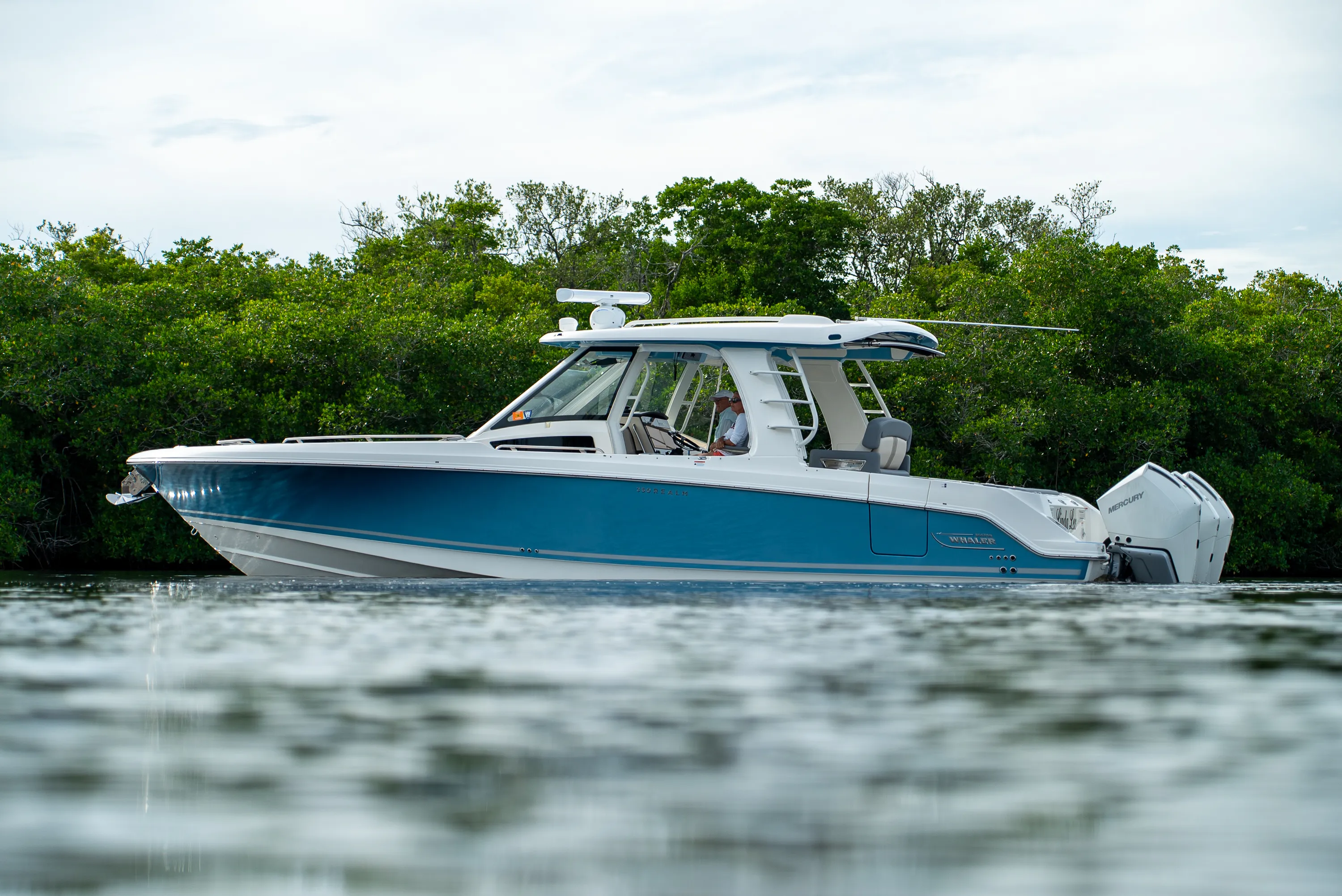 2025 Boston Whaler 350 REALM Image Thumbnail #35