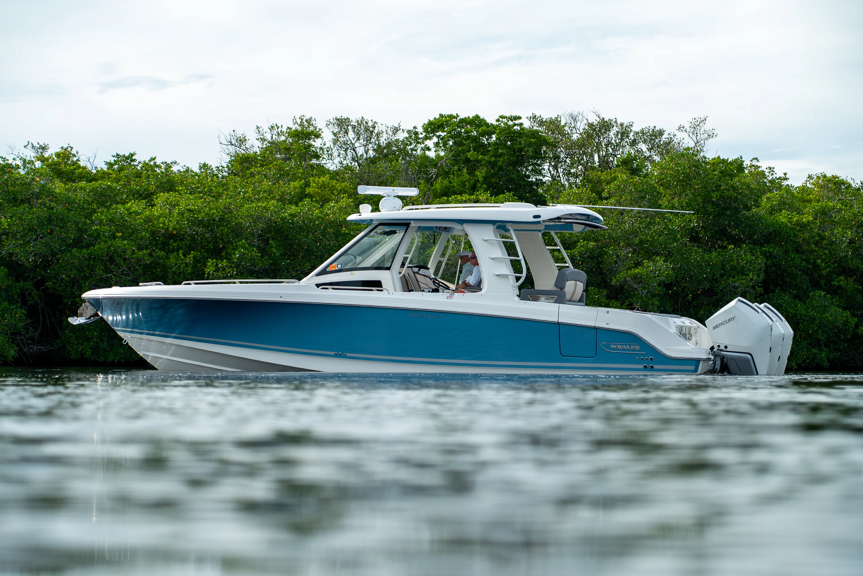 2025 Boston Whaler 350 REALM Image Thumbnail #35