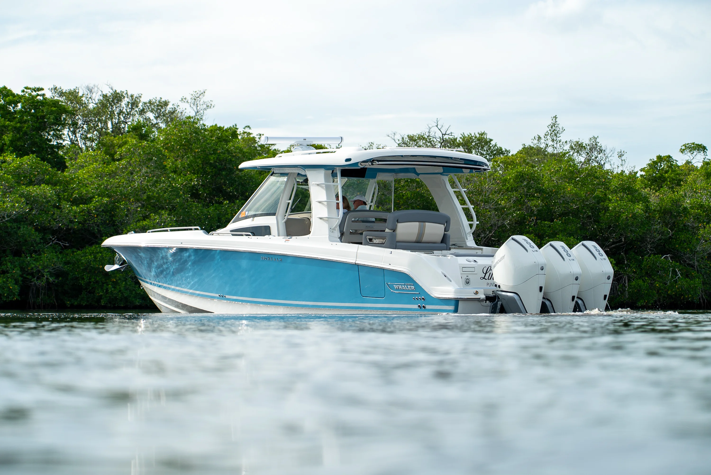 2025 Boston Whaler 350 REALM Image Thumbnail #36