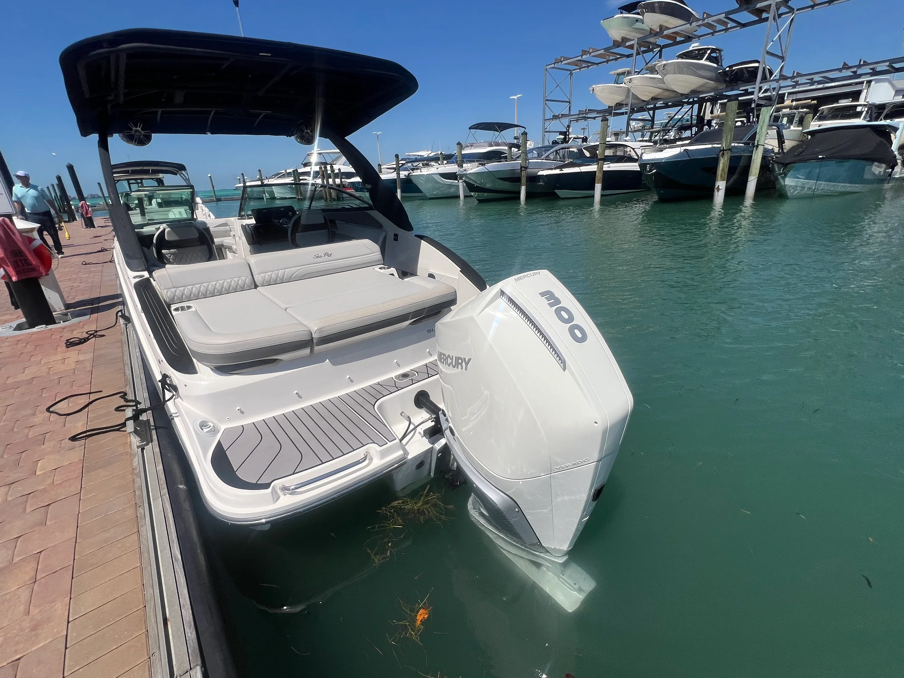 2023 Sea Ray SLX 260 Outboard Image Thumbnail #45