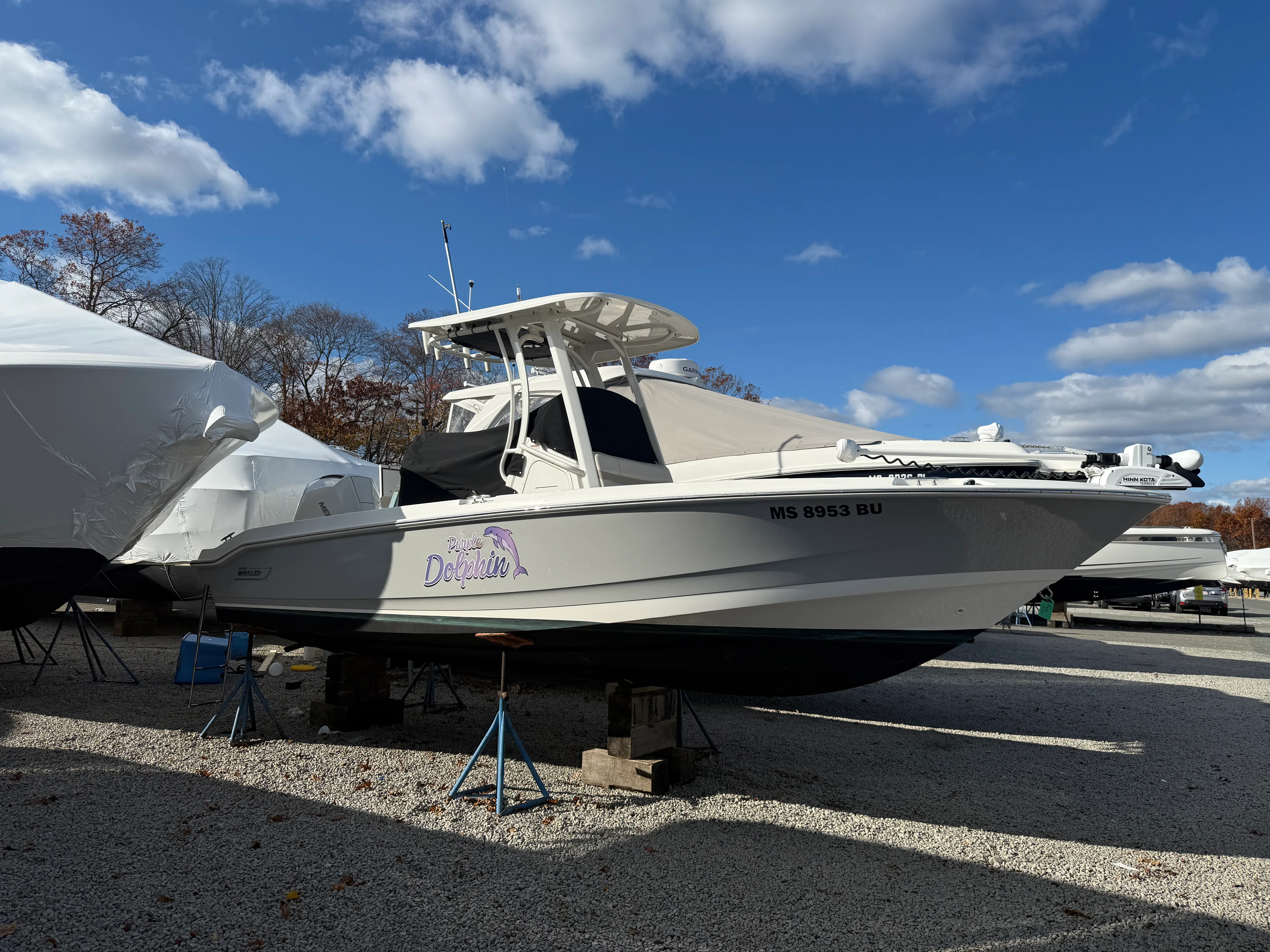 2023 Boston Whaler 220 DAUNTLESS Image Thumbnail #0